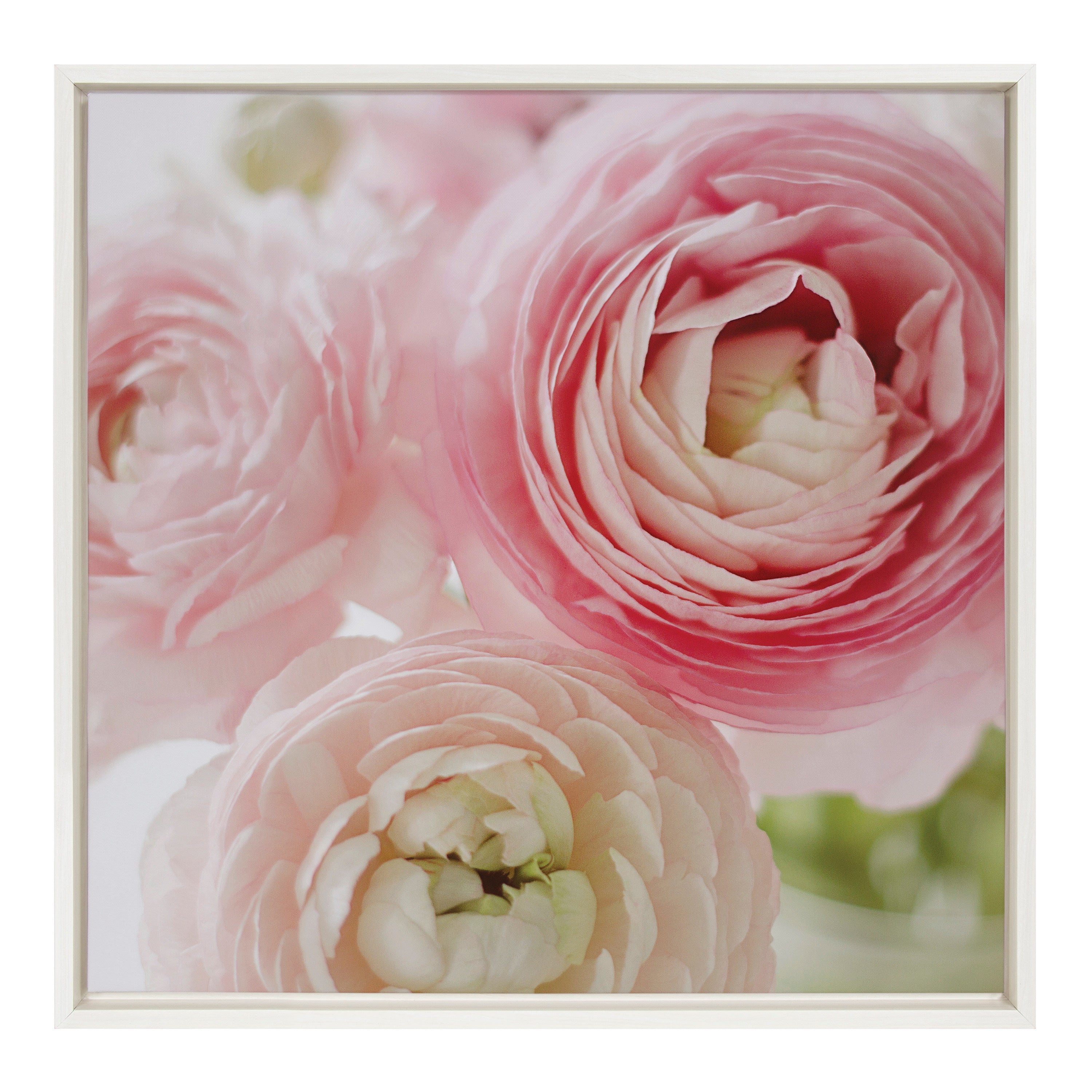 Sylvie Pink Dreams Framed Canvas by Kristy Campbell