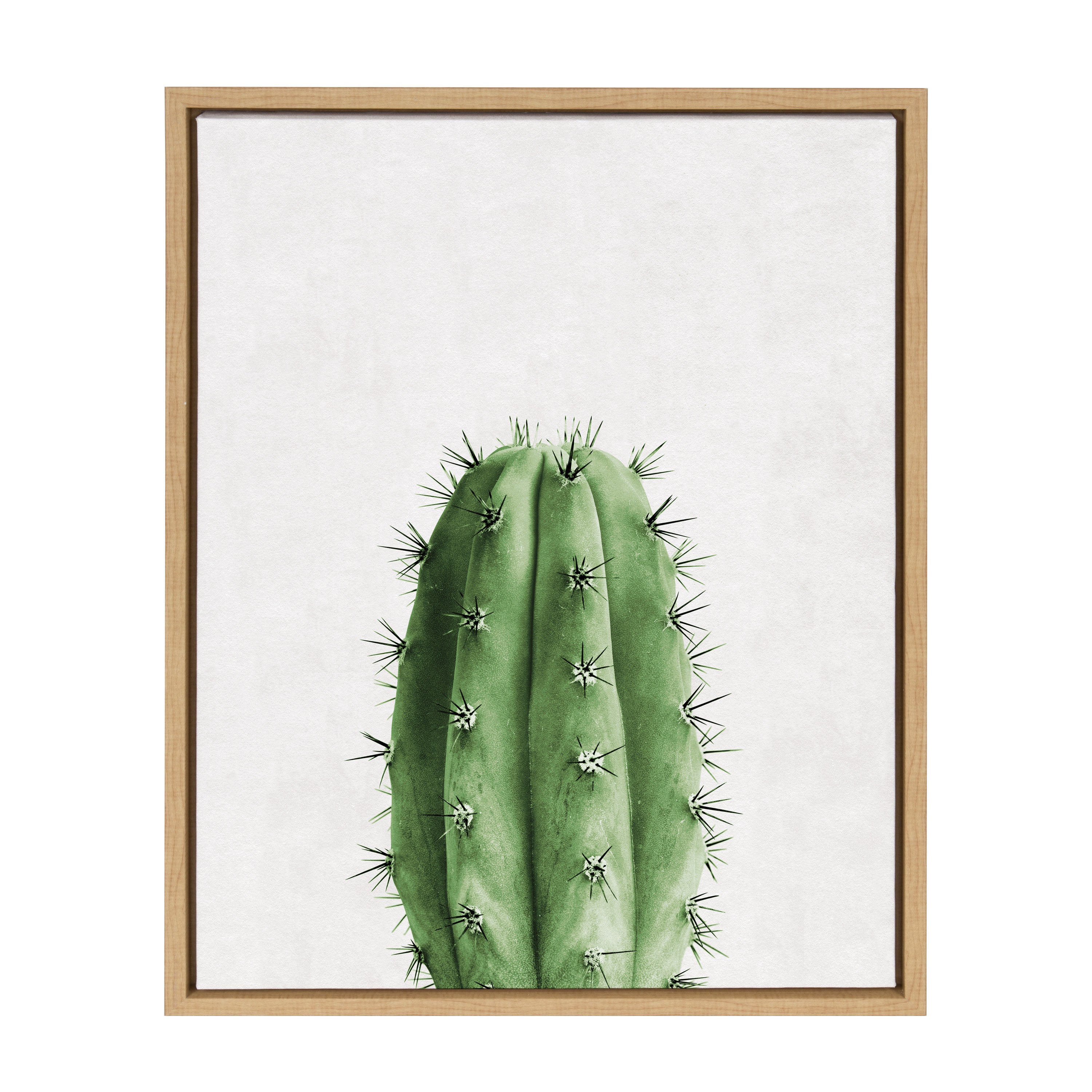 Sylvie Home Cactus Framed Canvas by Simon Te Tai