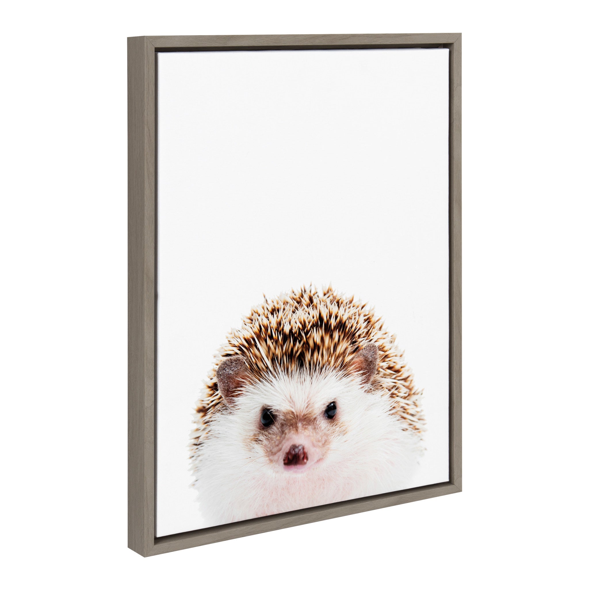 Sylvie Hedgehog Framed Canvas by Amy Peterson