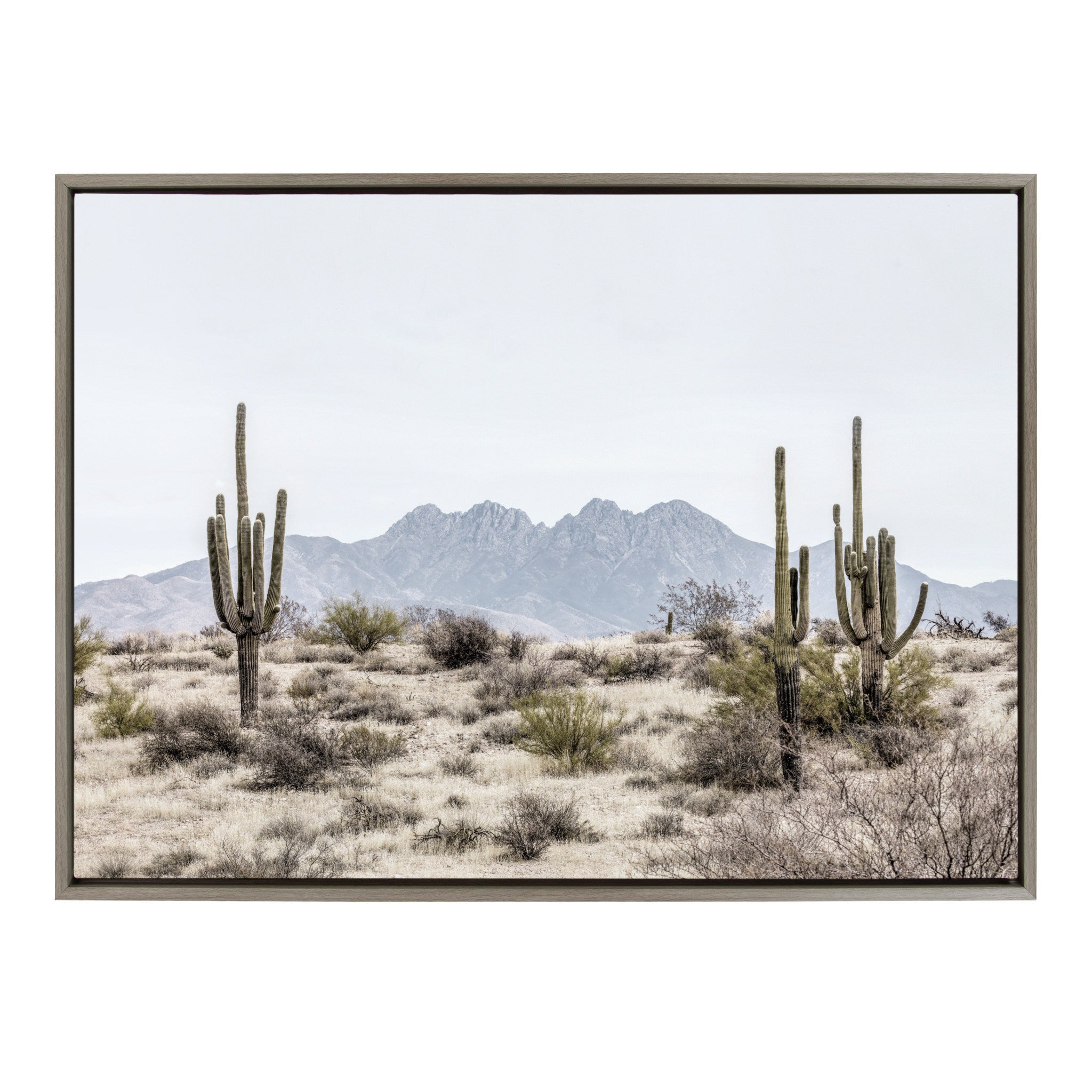 Kate and Laurel Sylvie Sunrise Cactus, Pink Cactus Flower and Cactus 25  Framed Canvas Wall Art Set by Amy Peterson Art Studio, 3 Piece Set 16x20  and