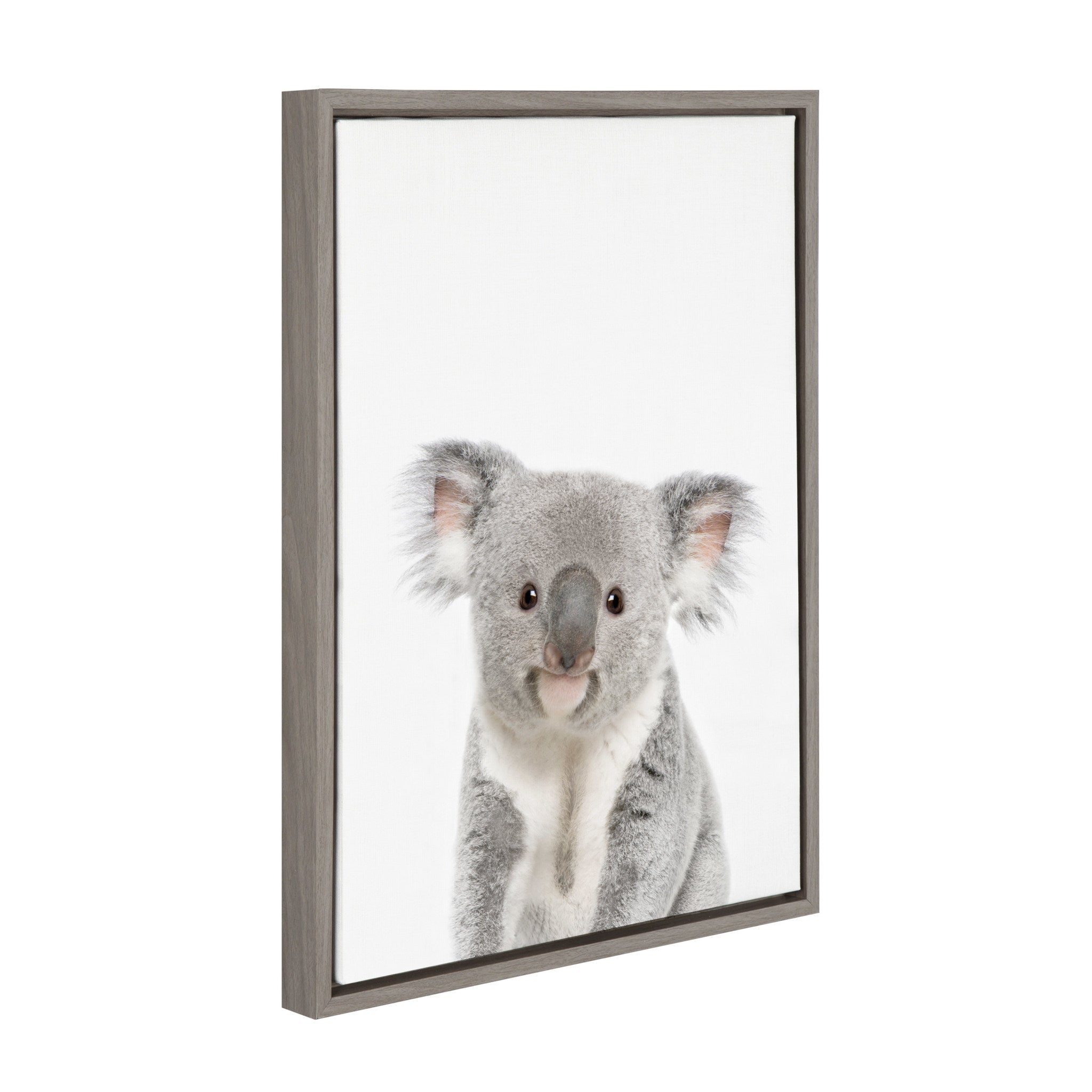 Sylvie Koala Framed Canvas by Amy Peterson Art Studio
