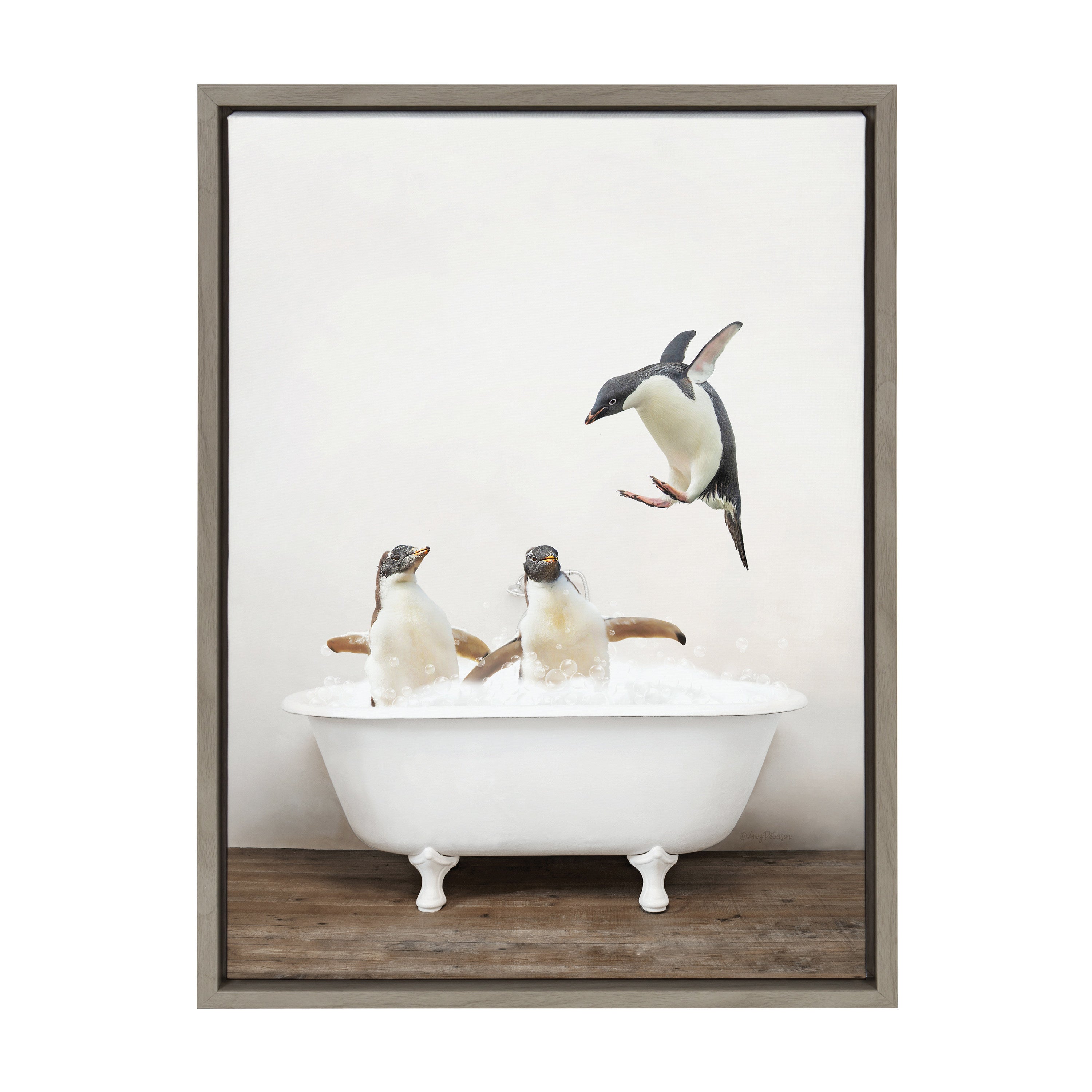 Sylvie Penguins Playing in Rustic Bath Framed Canvas by Amy Peterson Art Studio