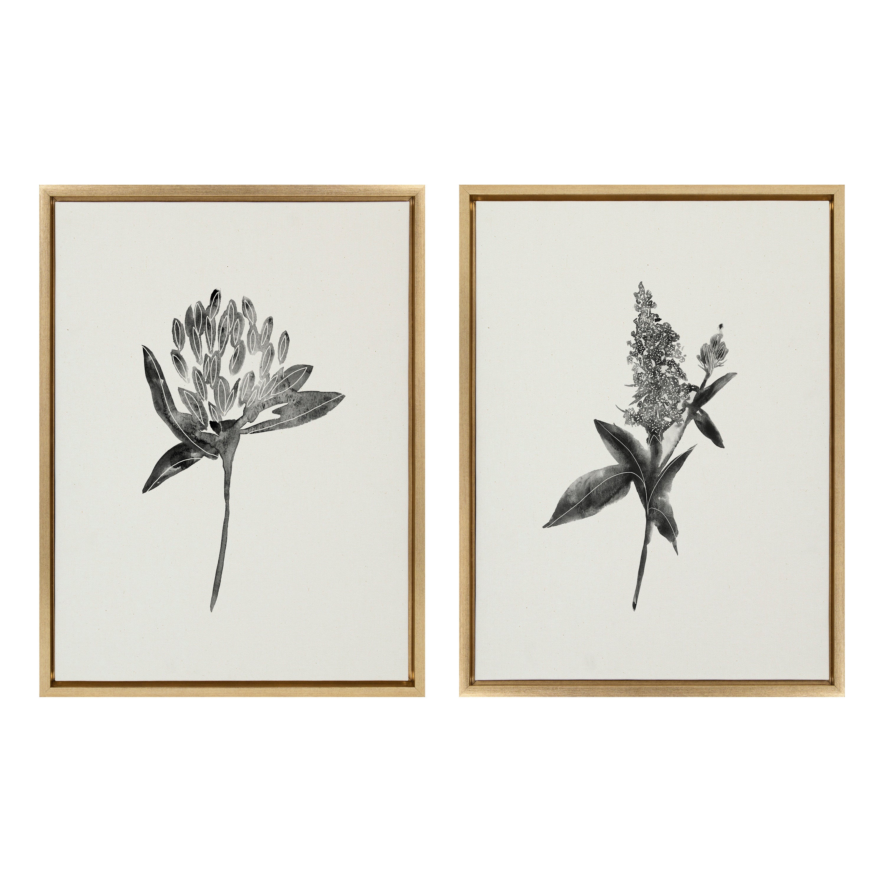 Sylvie Vintage Botanical 1 and 2 Framed Canvas by Teju Reval of SnazzyHues