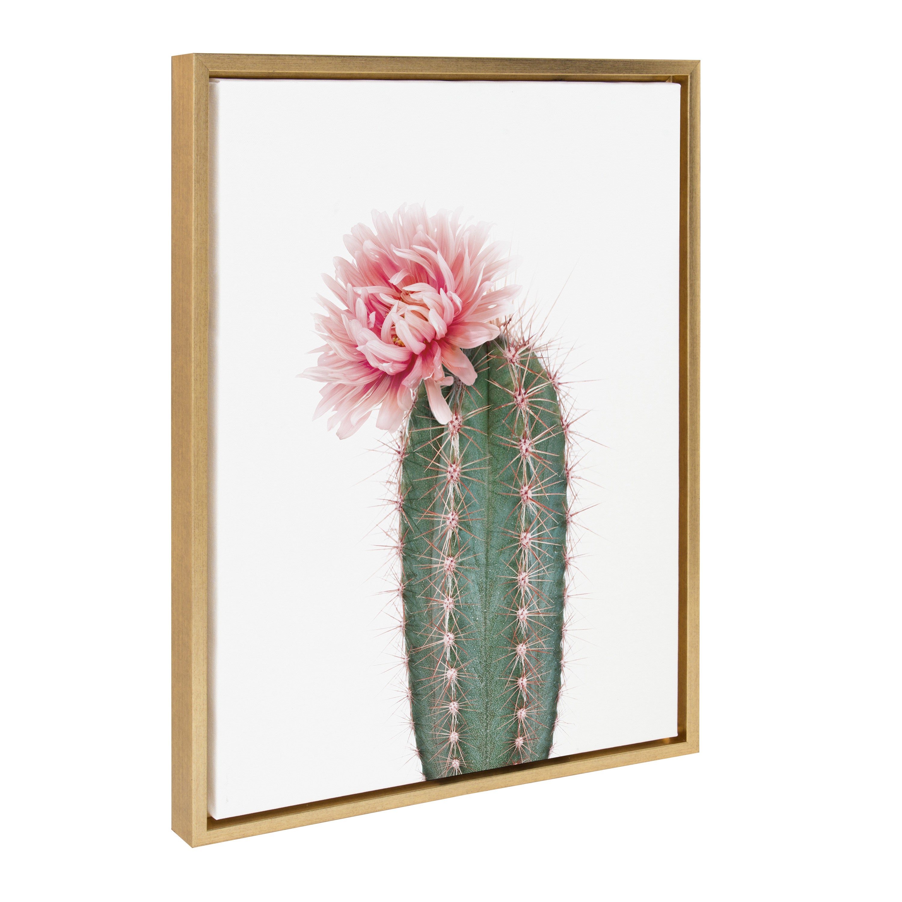 Sylvie Pink Cactus Flower Framed Canvas by Amy Peterson