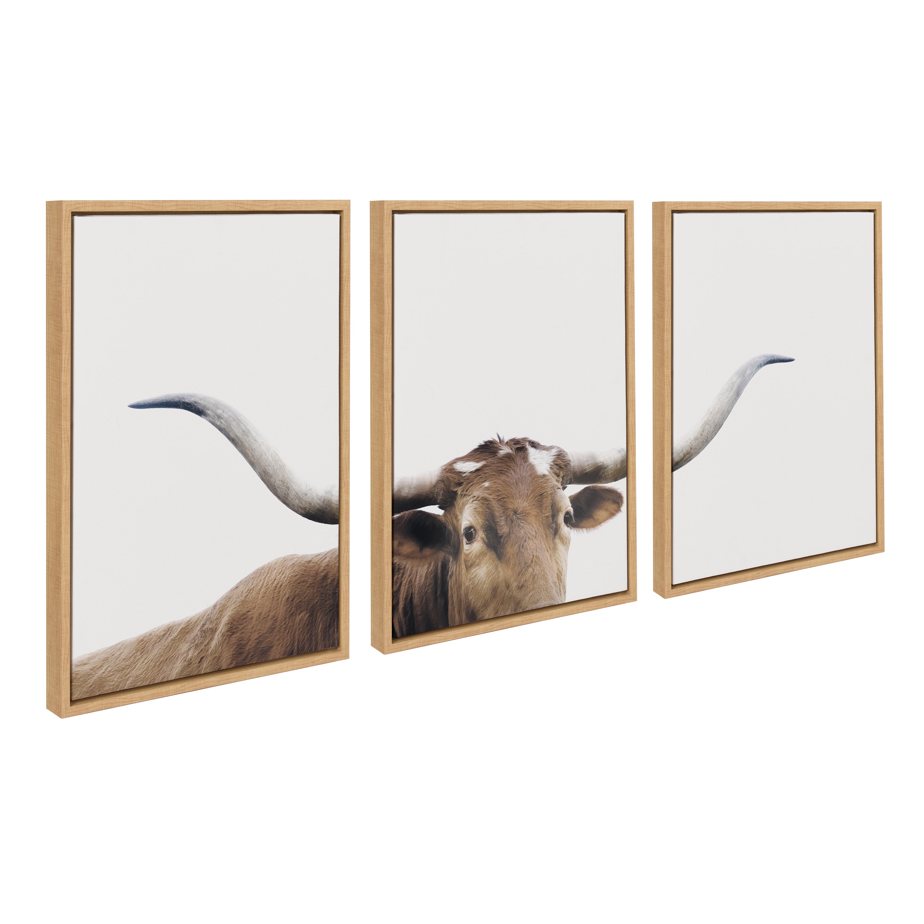 Sylvie Texas Longhorn 1 2 3 Framed Canvas by The Creative Bunch Studio