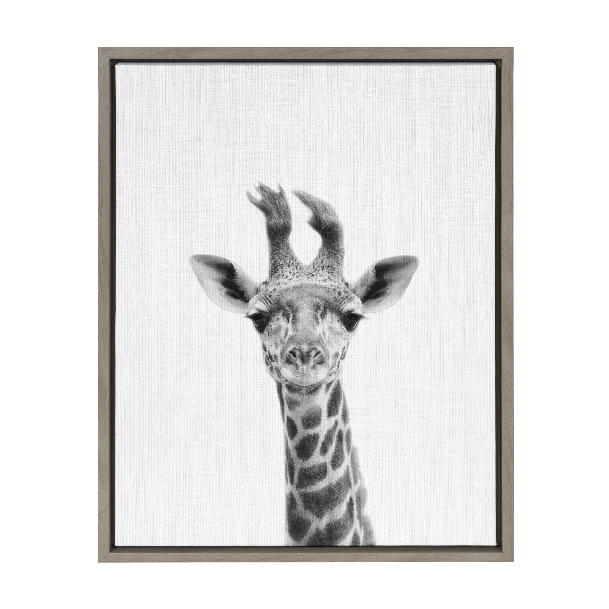 Sylvie Baby Giraffe Framed Canvas Wall Art by Simon Te Tai