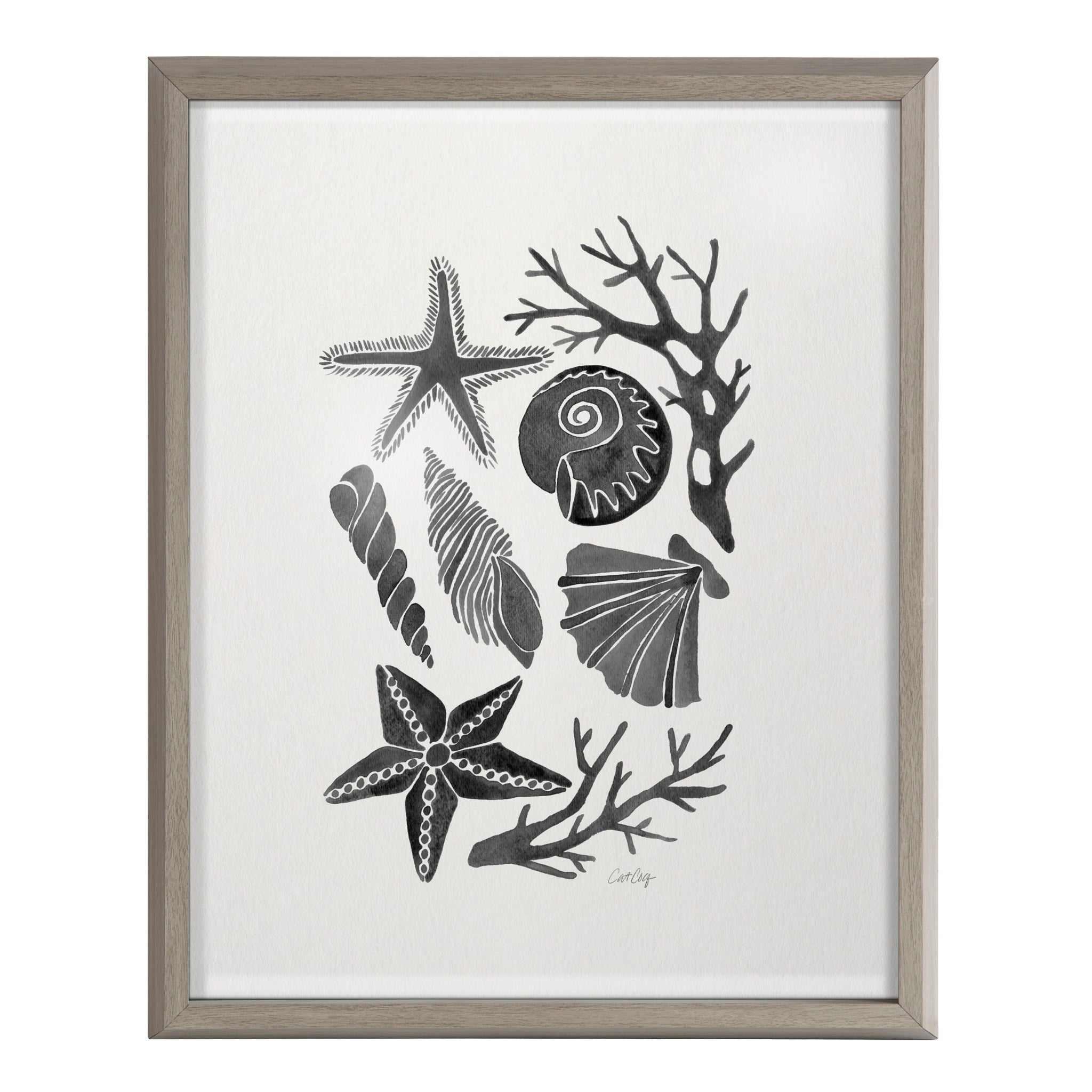 Blake Seashells Black Framed Printed Glass by Cat Coquillette