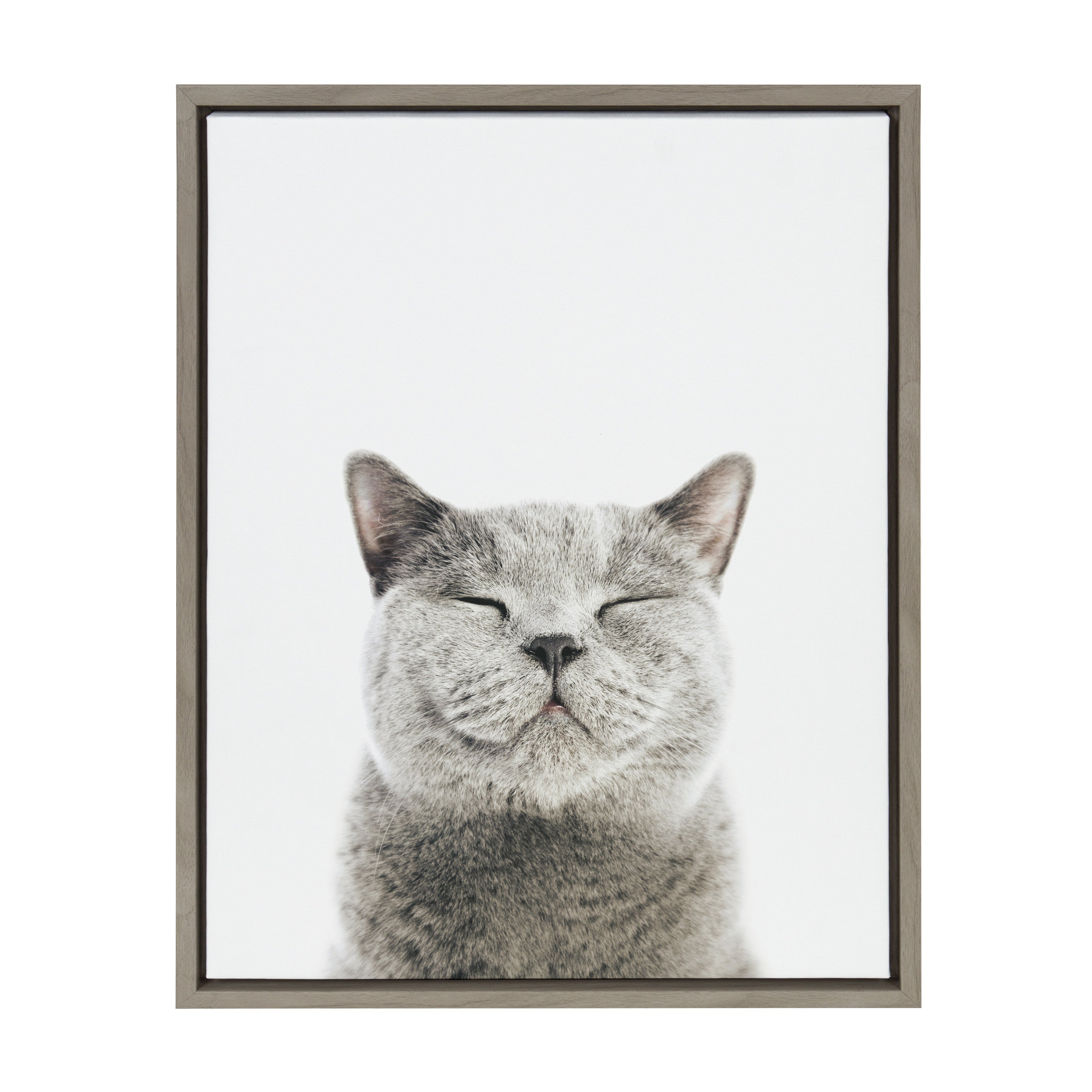 Sylvie Smiling Cat Framed Canvas by Amy Peterson
