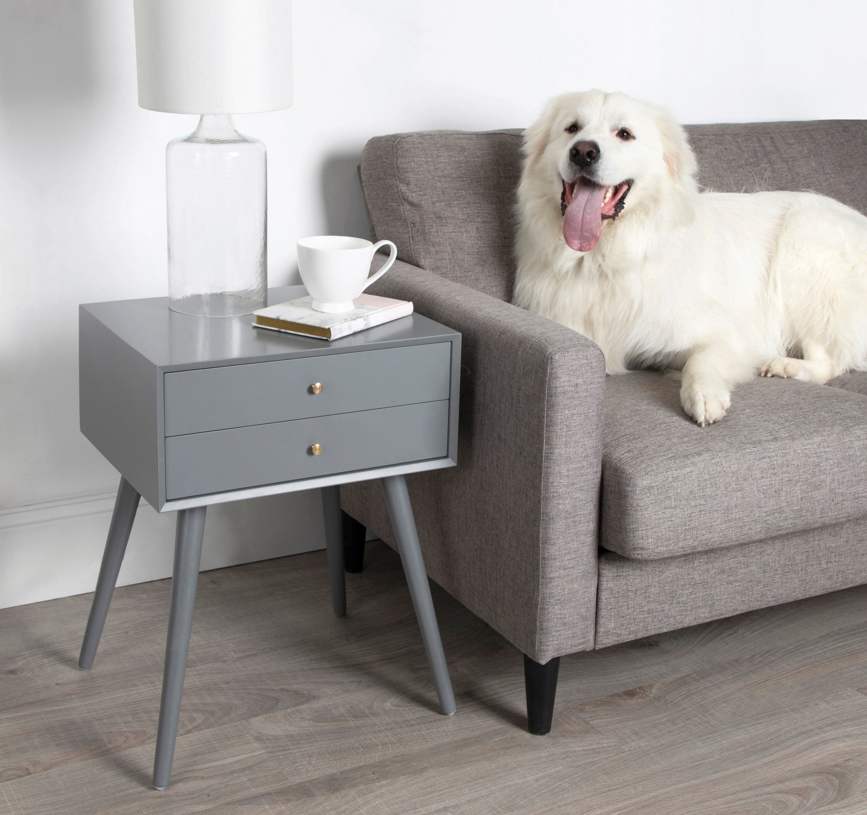 Finco Side Table with 2 Drawers