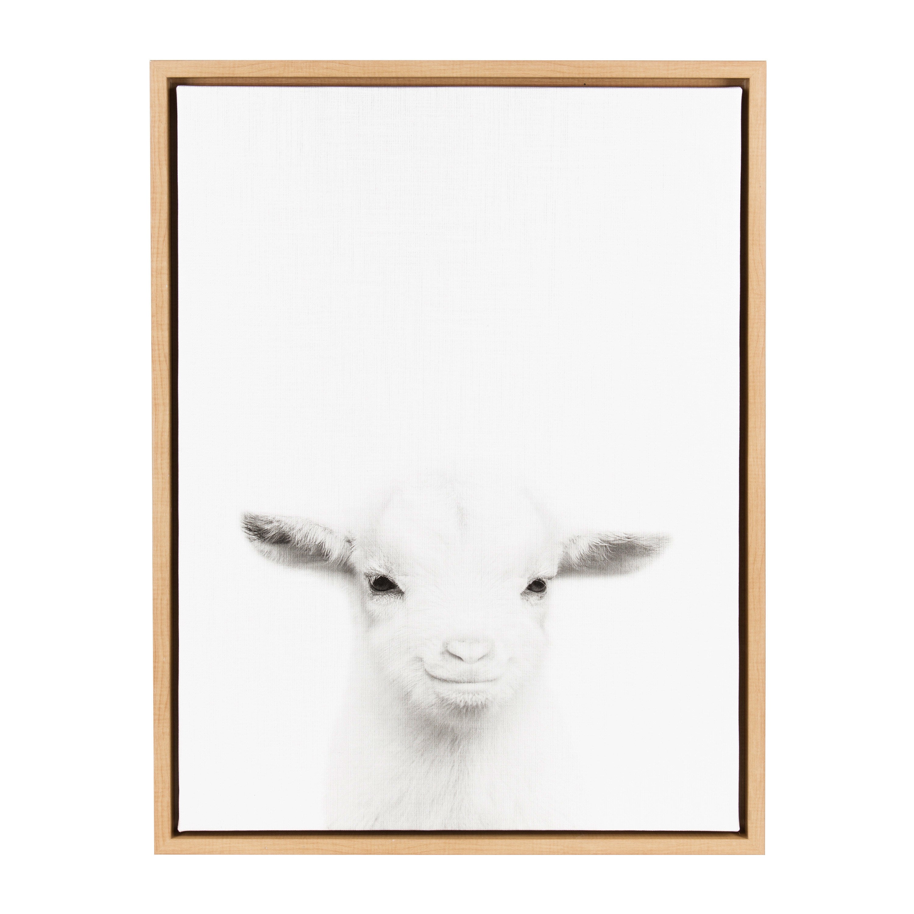 Sylvie Baby Goat Framed Canvas by Simon Te Tai