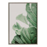Sylvie Plant Study 7 Framed Canvas by Alicia Abla