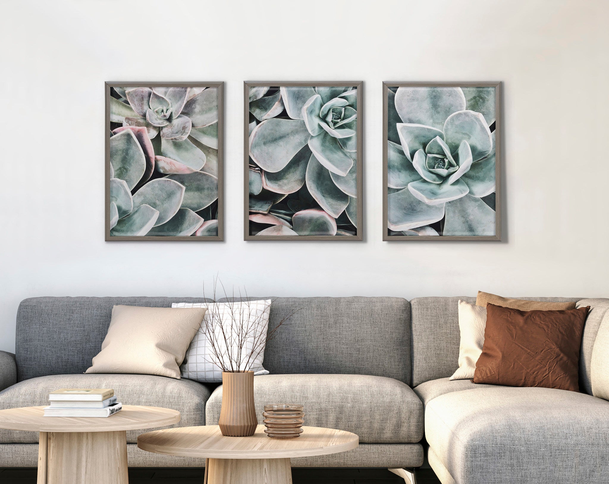 Blake Botanical Succulent Plants 3 Framed Printed Glass by The Creative Bunch Studio