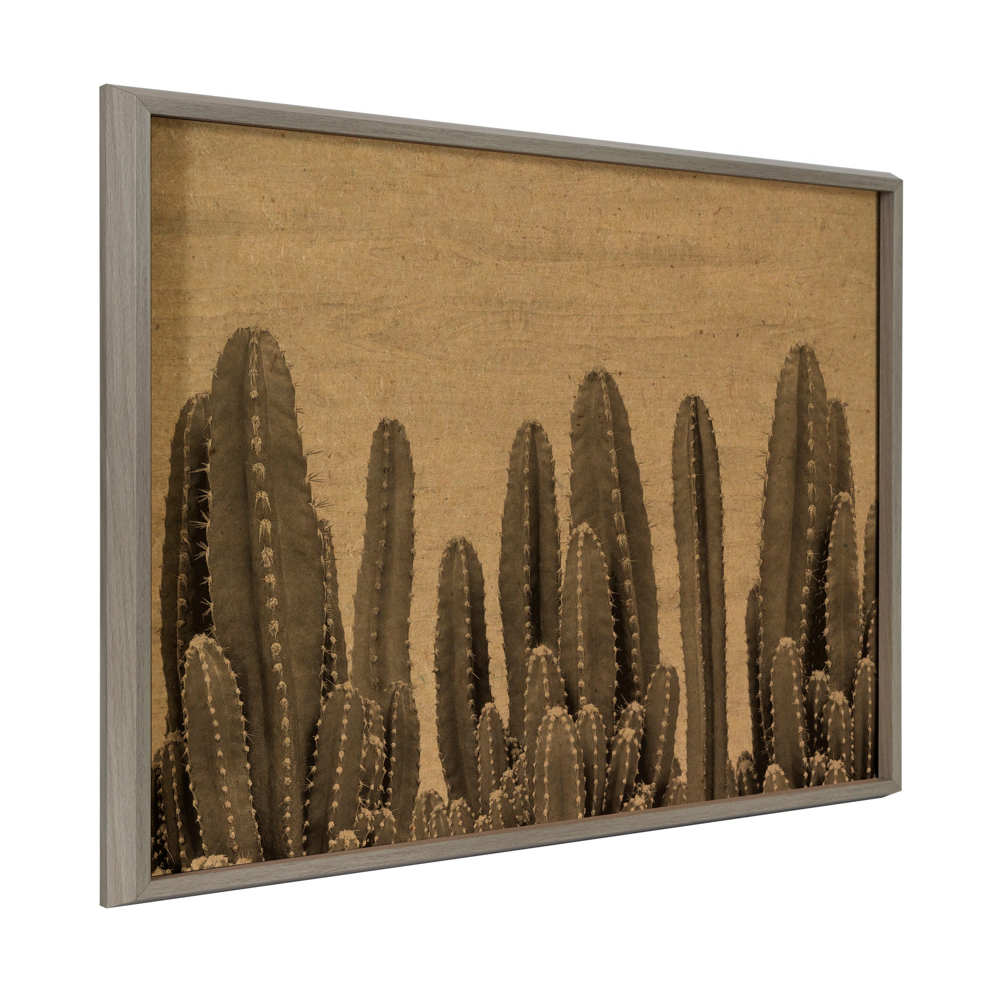 Blake Looking Sharp Cactus Framed Printed Wood by The Creative Bunch Studio