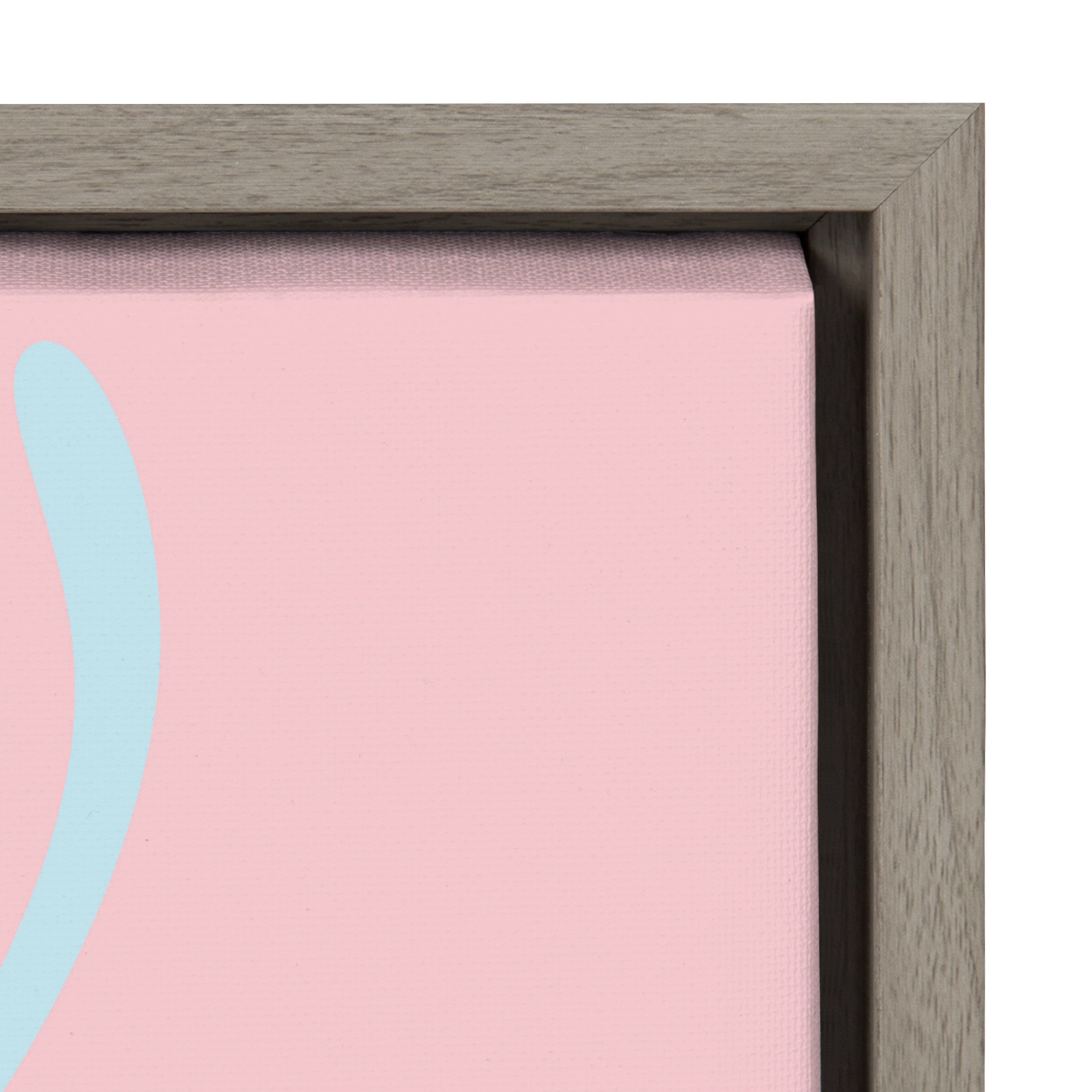 Sylvie Mid Century Modern Protea Framed Canvas by Rachel Lee of My Dream Wall