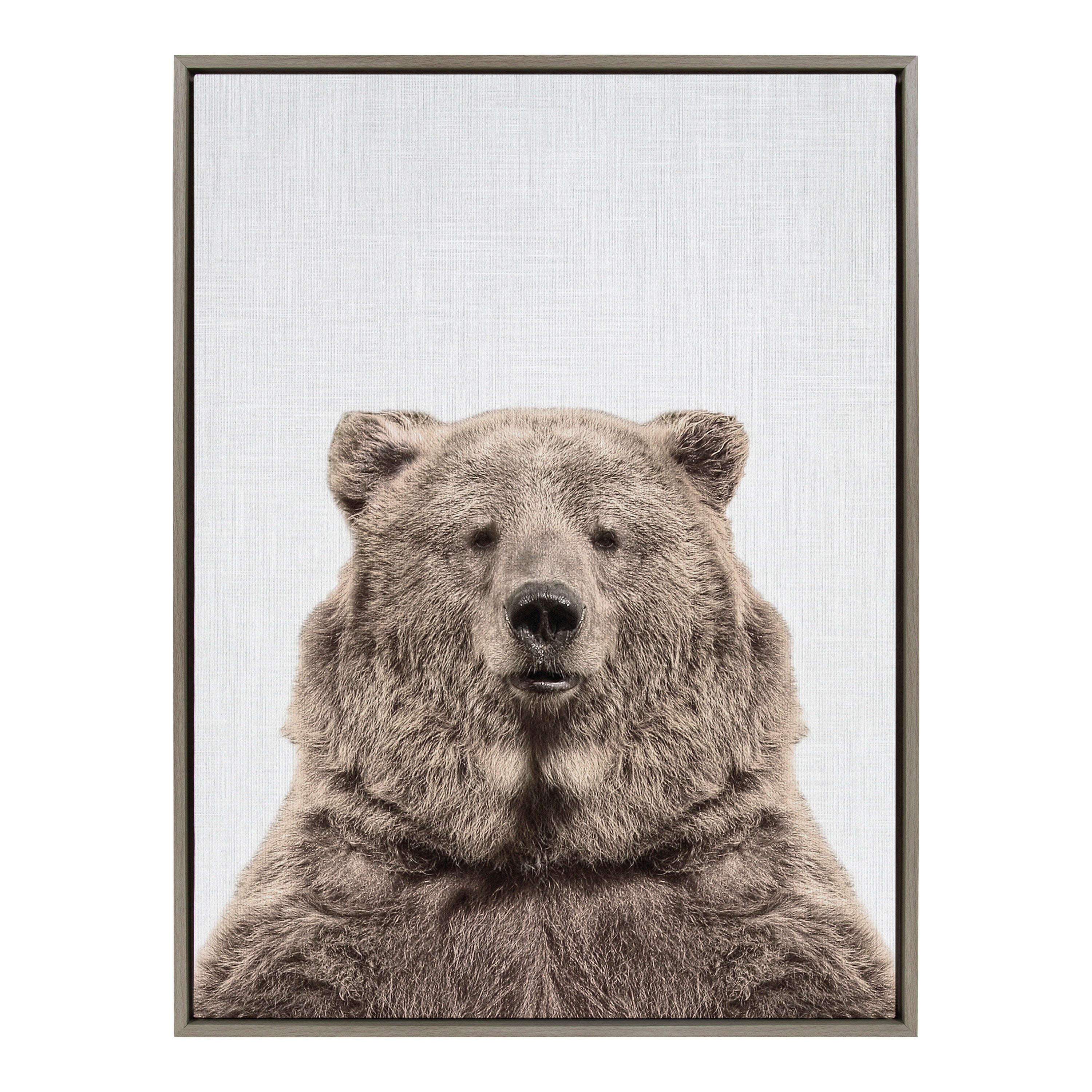 Sylvie Bear European Color Framed Canvas by Simon Te of Tai Prints