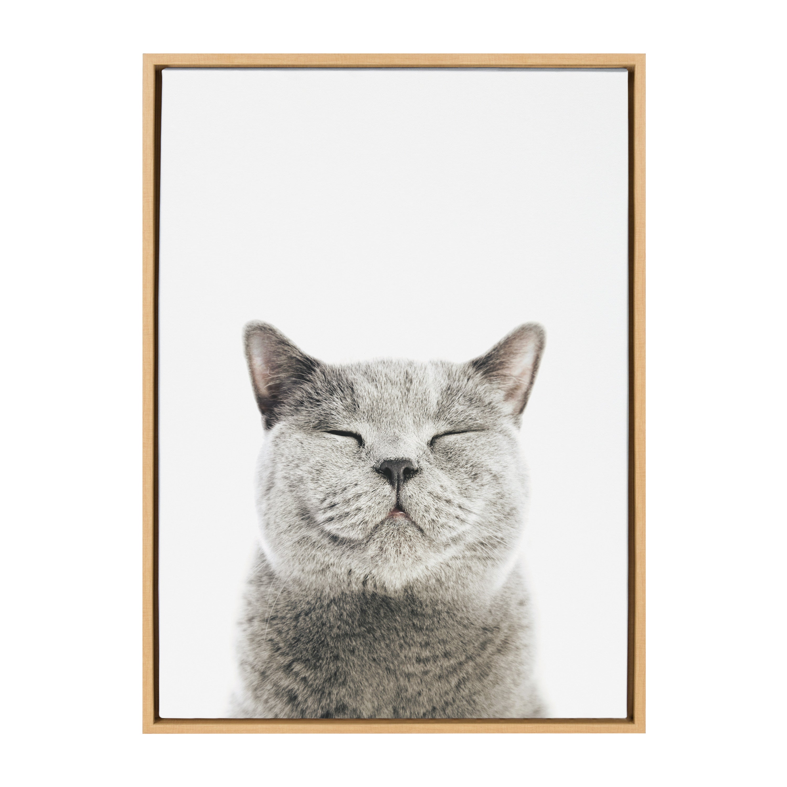 Sylvie Smiling Cat Framed Canvas by Amy Peterson Art Studio
