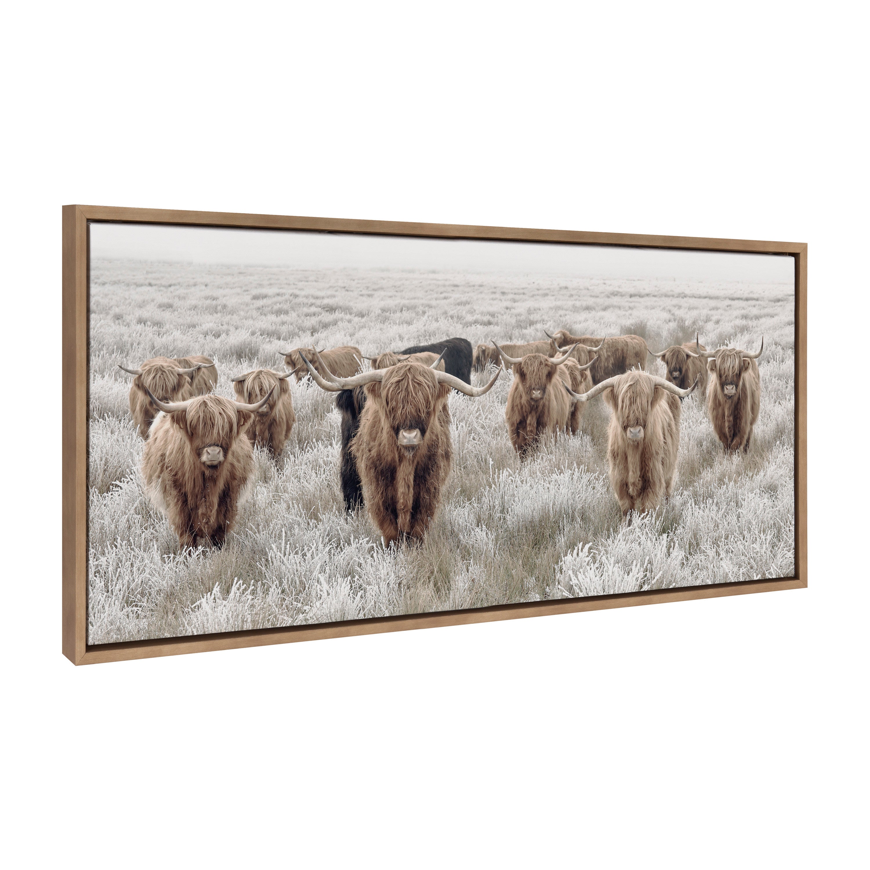 Sylvie Herd of Highland Cows Color Framed Canvas by The Creative Bunch Studio