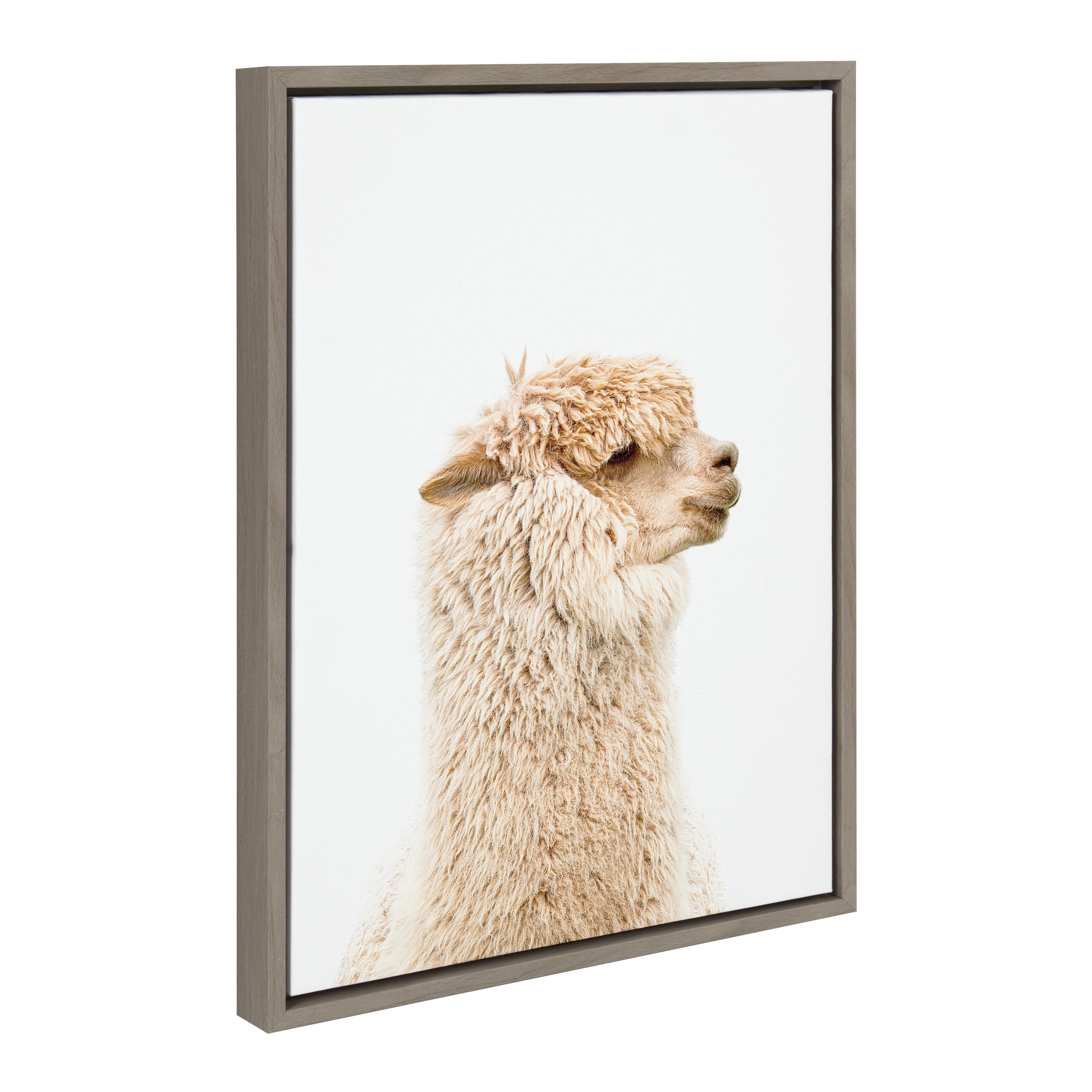 Sylvie Golden Alpaca Profile Framed Canvas by Amy Peterson Art Studio