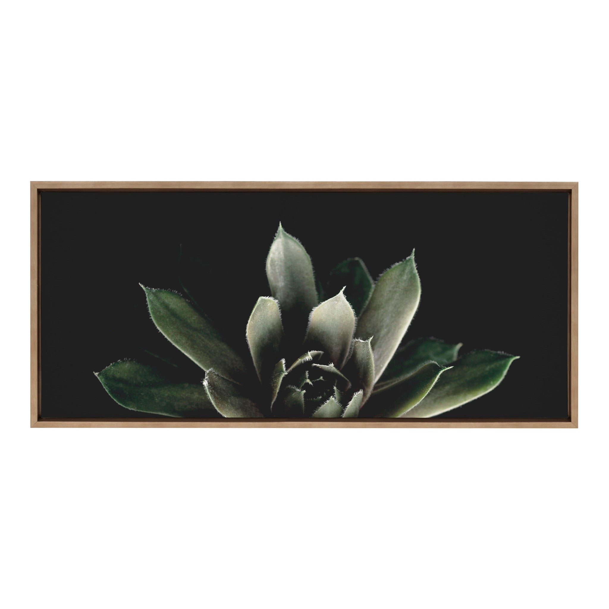 Sylvie Salutation Framed Canvas by Emiko and Mark Franzen of F2Images