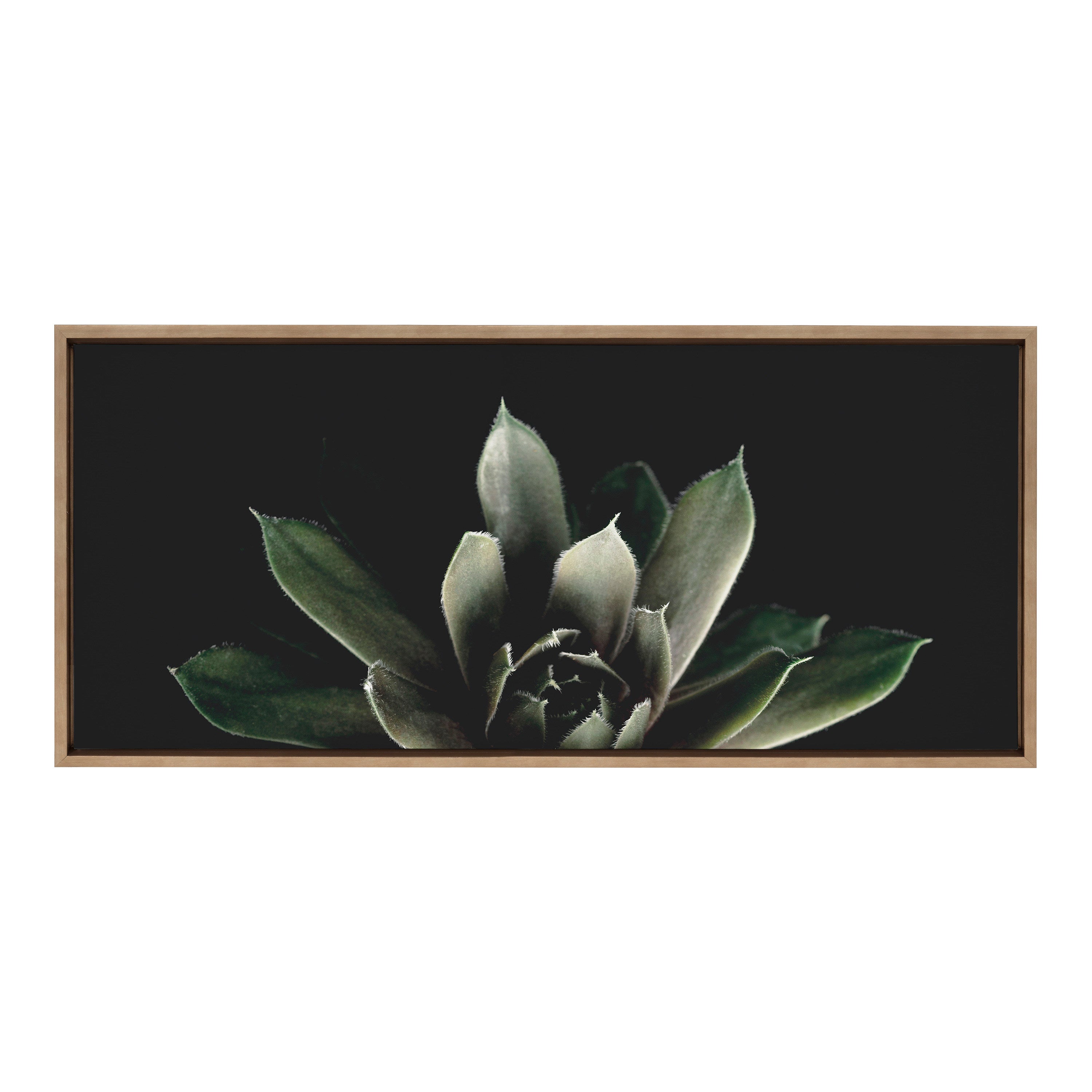 Sylvie Salutation Framed Canvas by Emiko and Mark Franzen of F2Images