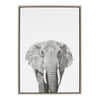 Sylvie Elephant Framed Canvas by Simon Te Tai