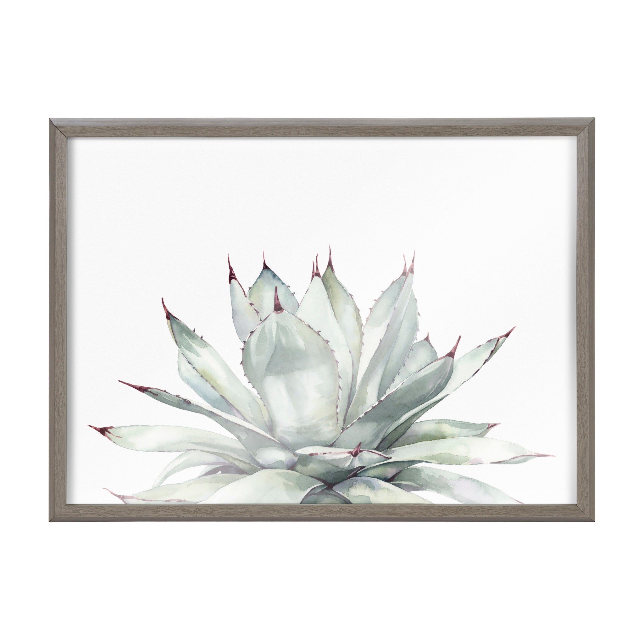 Blake Parrys Agave Framed Printed Glass by Emily Marie Watercolors
