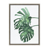 Sylvie Cheese Plant Leaves Framed Canvas by Viola Kreczmer