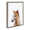 Sylvie Animal Studio Baby Horse Framed Canvas by Amy Peterson Art Studio