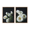 Sylvie White Ranunculus Framed Canvas Set by Emiko and Mark Franzen of F2Images