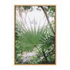 Sylvie St John Rainforest Framed Canvas by Patricia Hasz of Patricia Rae Photography