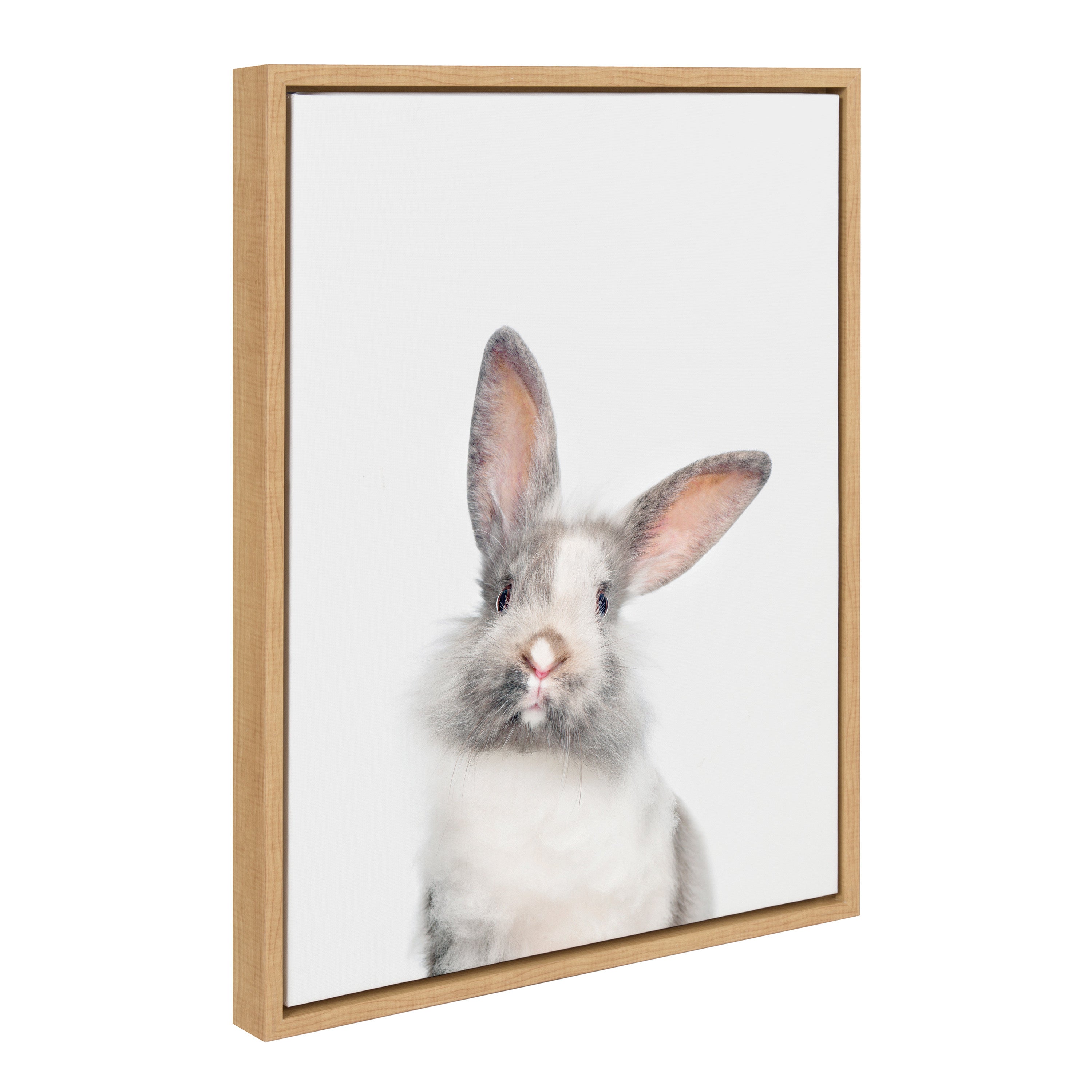 Sylvie Animal Studio Cute Male Rabbit Framed Canvas by Amy Peterson Art Studio