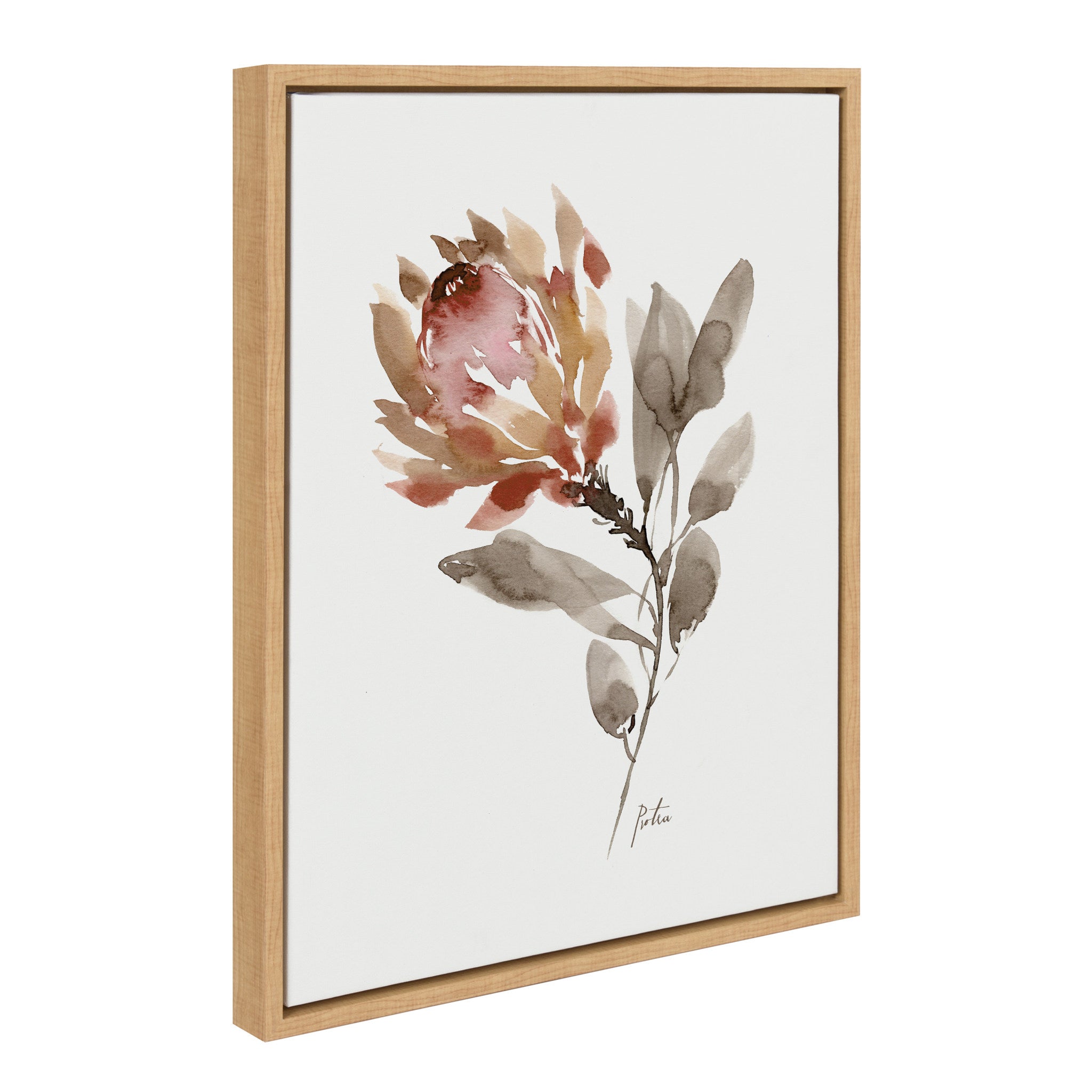 Sylvie Wild King Protea Framed Canvas by Sara Berrenson