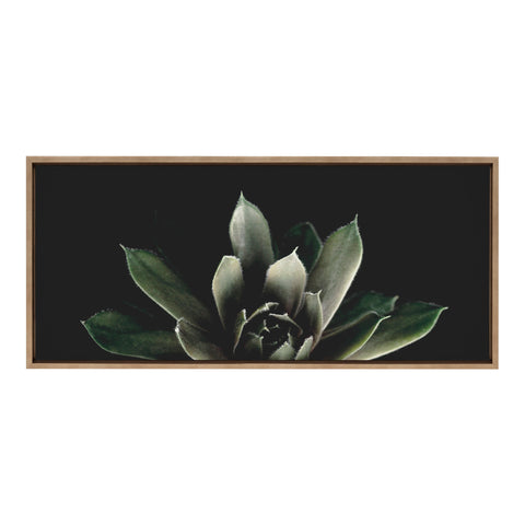 Sylvie Succulent 8 Framed Canvas by Emiko and Mark Franzen of F2Images