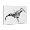 Lily X Ray Floral Floating Acrylic Art by The Creative Bunch Studio