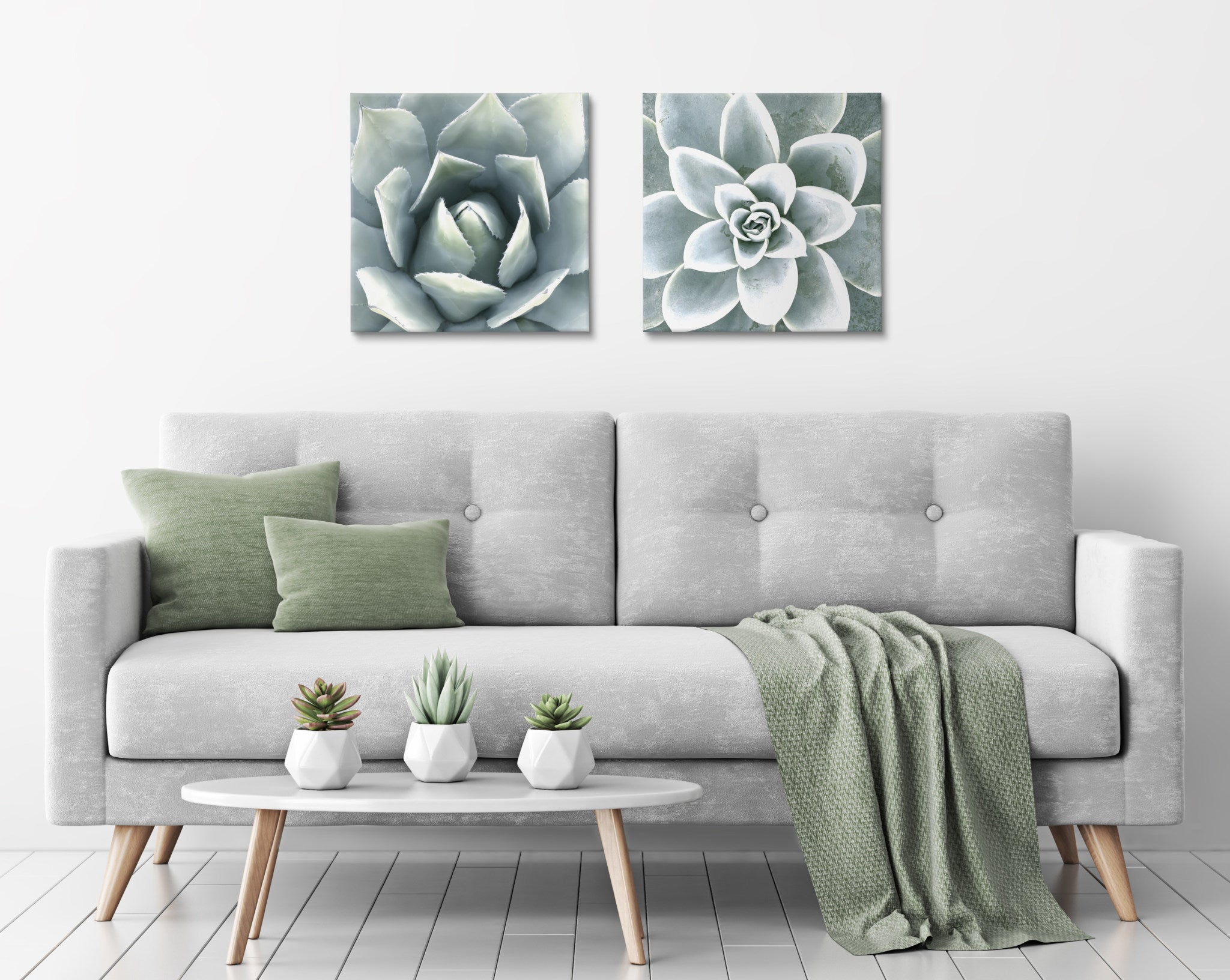 Soft Botanical Succulents by The Creative Bunch Studio
