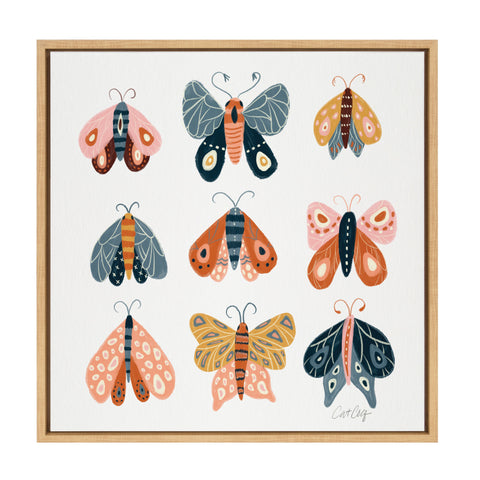 Sylvie Yellow Moth Specimens Framed Canvas by Cat Coquillette