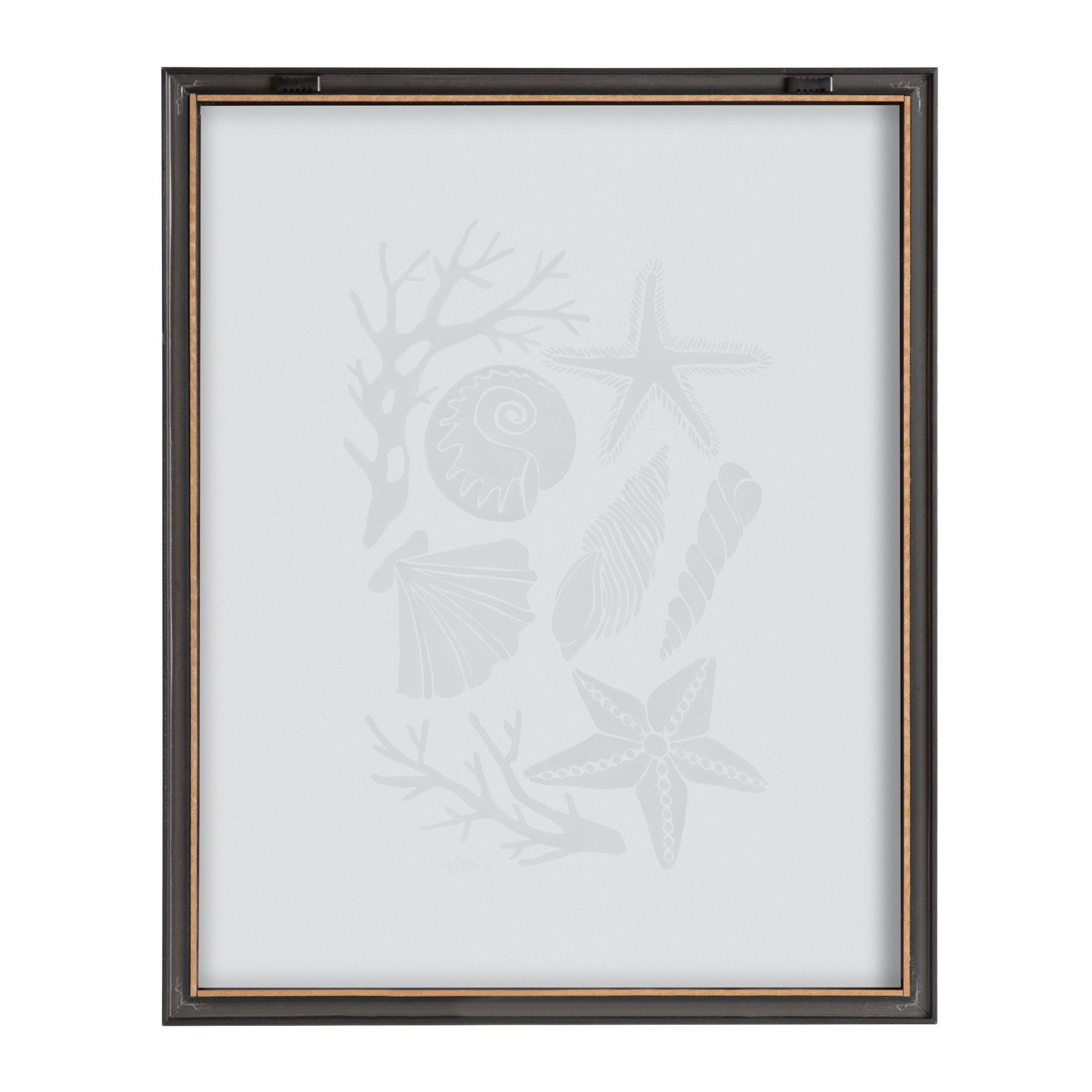 Blake Seashells Black Framed Printed Glass by Cat Coquillette