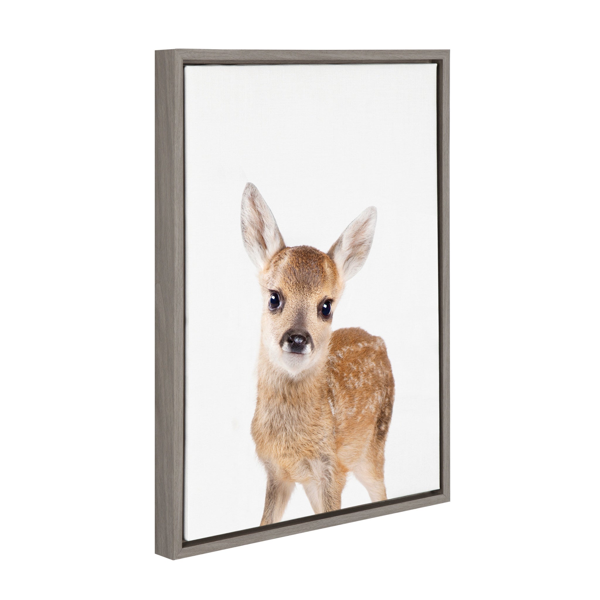 Sylvie Animal Studio Deer Framed Canvas by Amy Peterson Art Studio