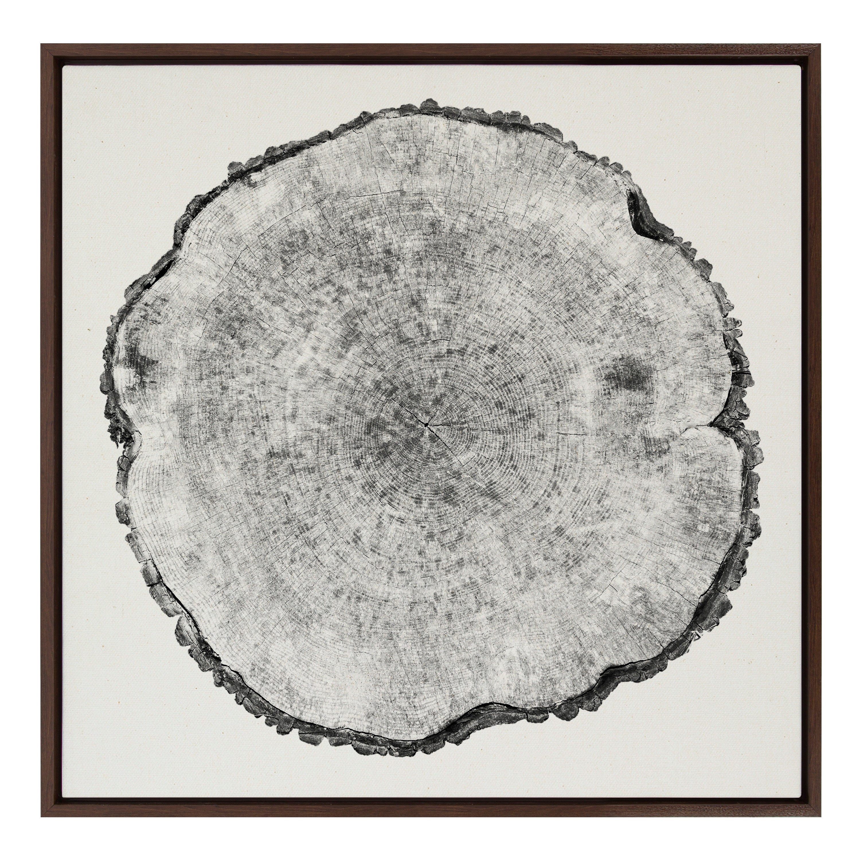 Sylvie Tree Rings Linen Framed Canvas by Emiko and Mark Franzen of F2Images