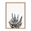 Sylvie It Can Be a Zebra Framed Canvas by Maja Mitrovic of Makes My Day Happy