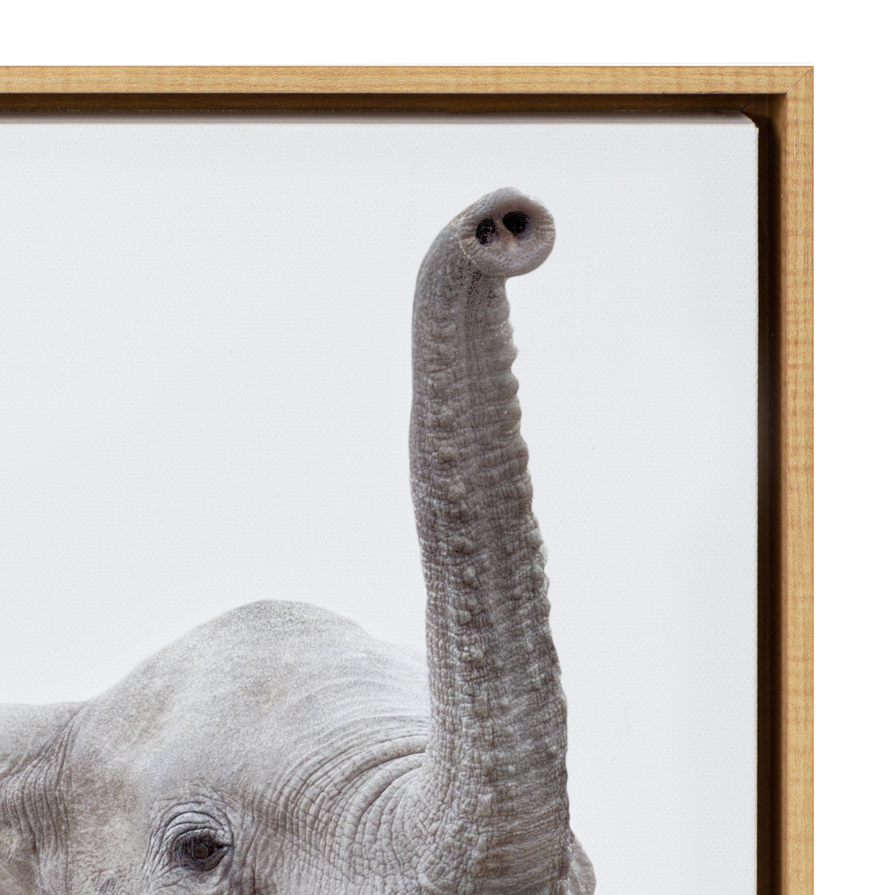 Kate and Laurel Sylvie Safari Animal Canvas Art - Thumbnail 4