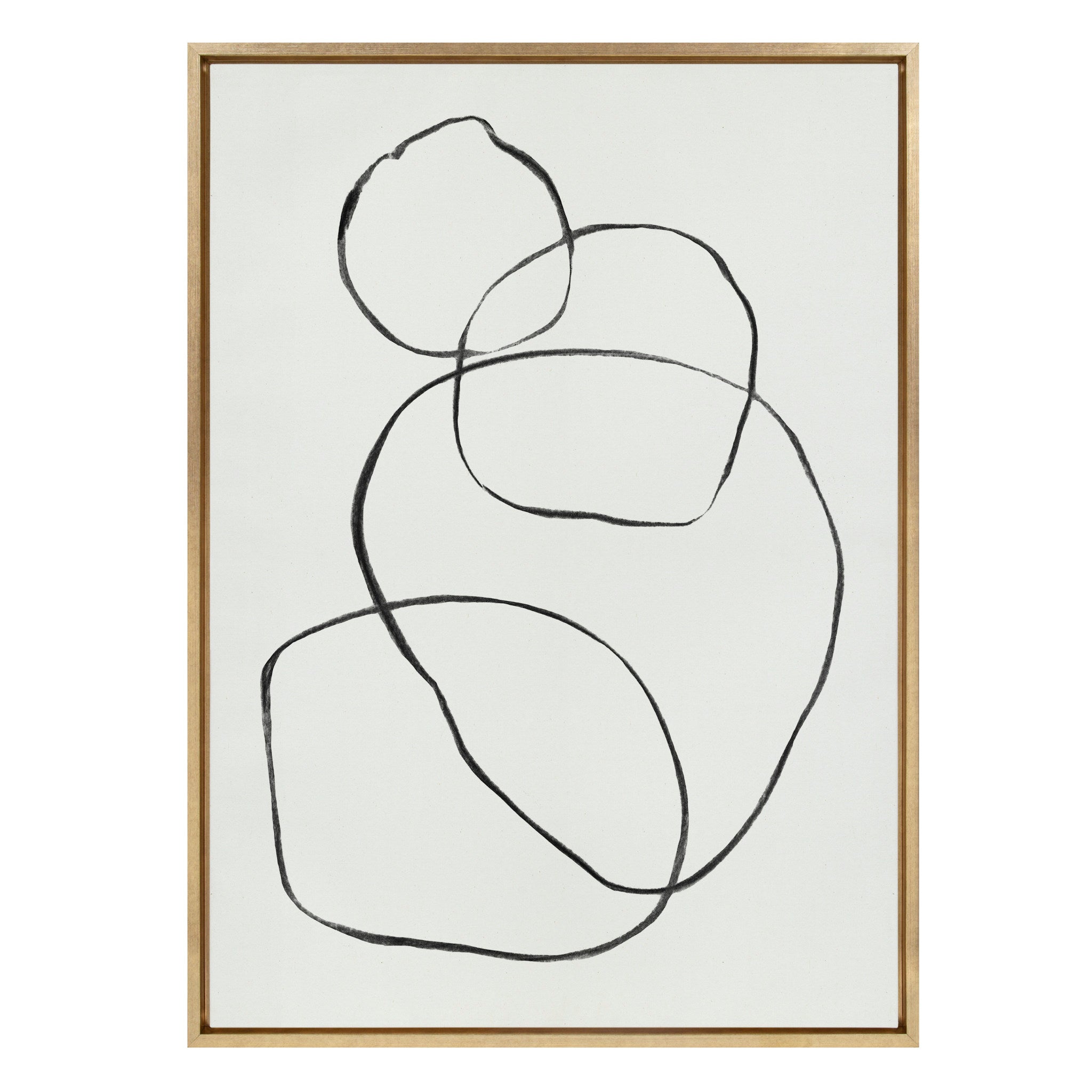 Sylvie 869 Going in Circles Framed Canvas by Teju Reval of SnazzyHues