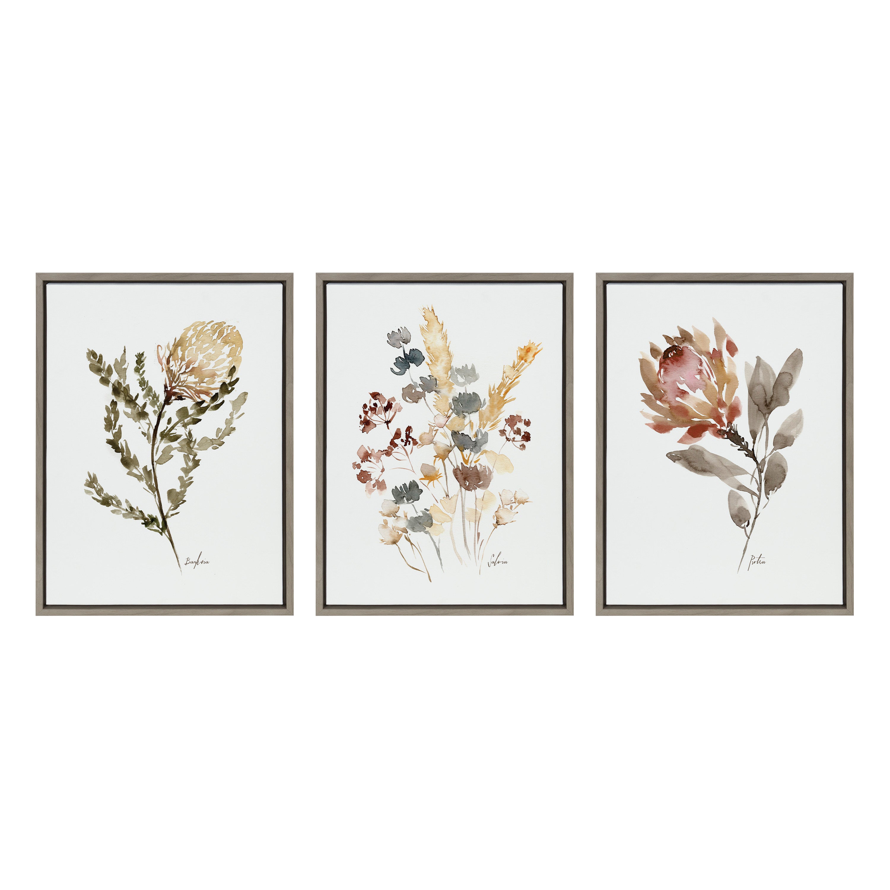 Sylvie Wild Banksia Wild Salvia and Wild King Protea Framed Canvas by Sara Berrenson