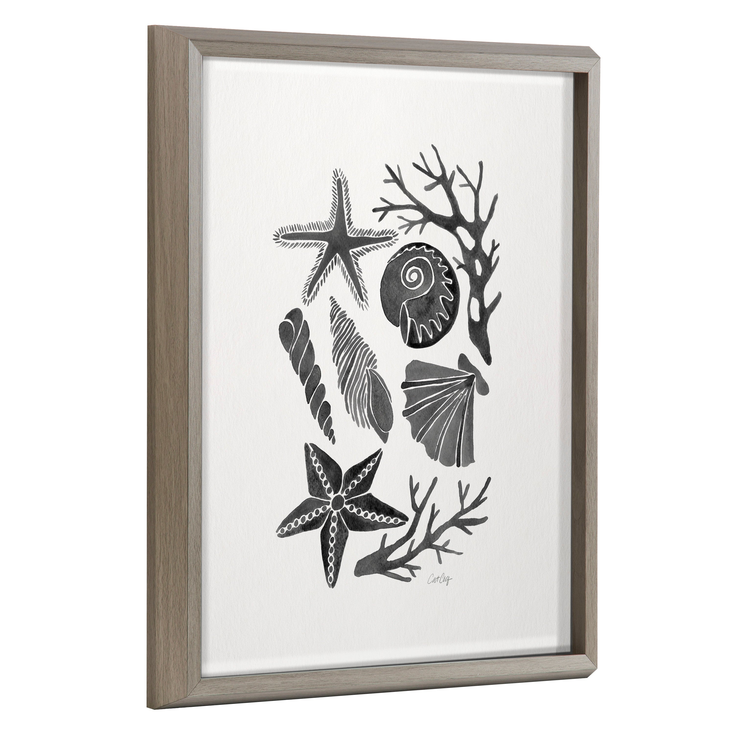 Blake Seashells Black Framed Printed Glass by Cat Coquillette
