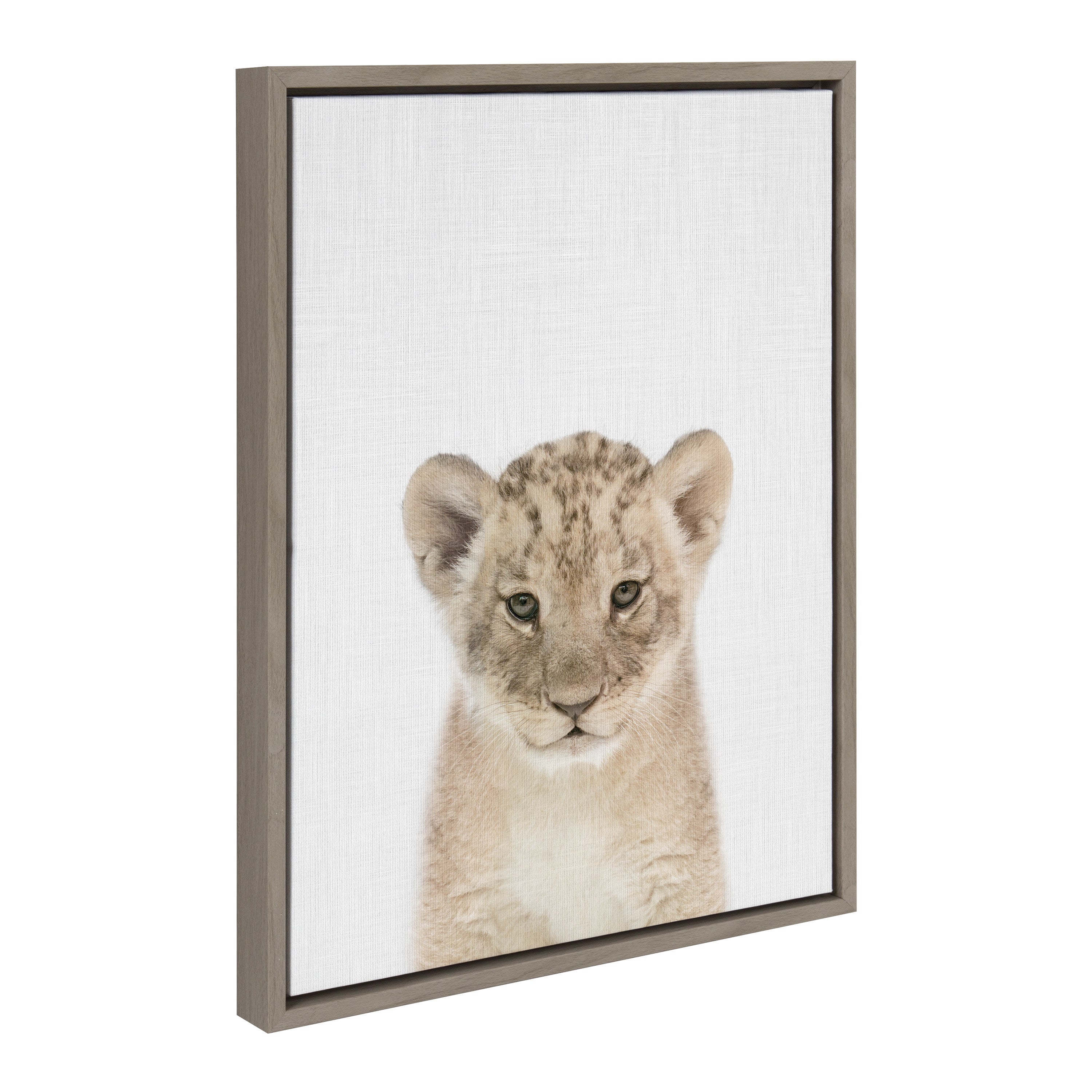 Sylvie Baby Lion Color Framed Canvas by Simon Te of Tai Prints
