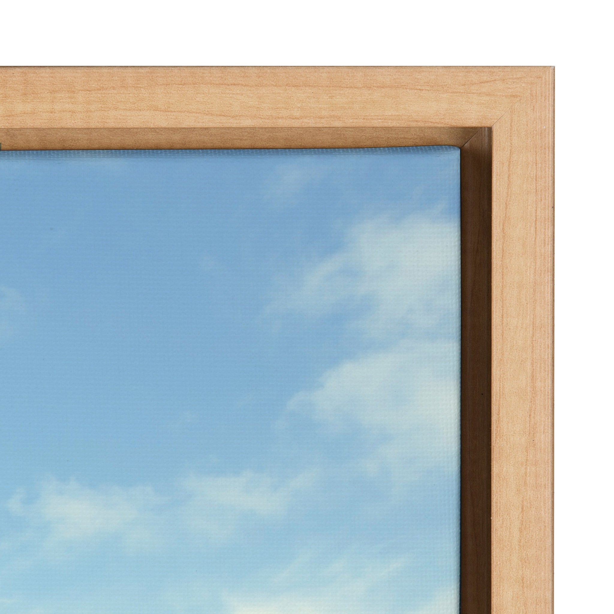 Framed Canvas, Coastal, Natural