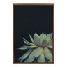 Sylvie Succulent Framed Canvas by F2 Images
