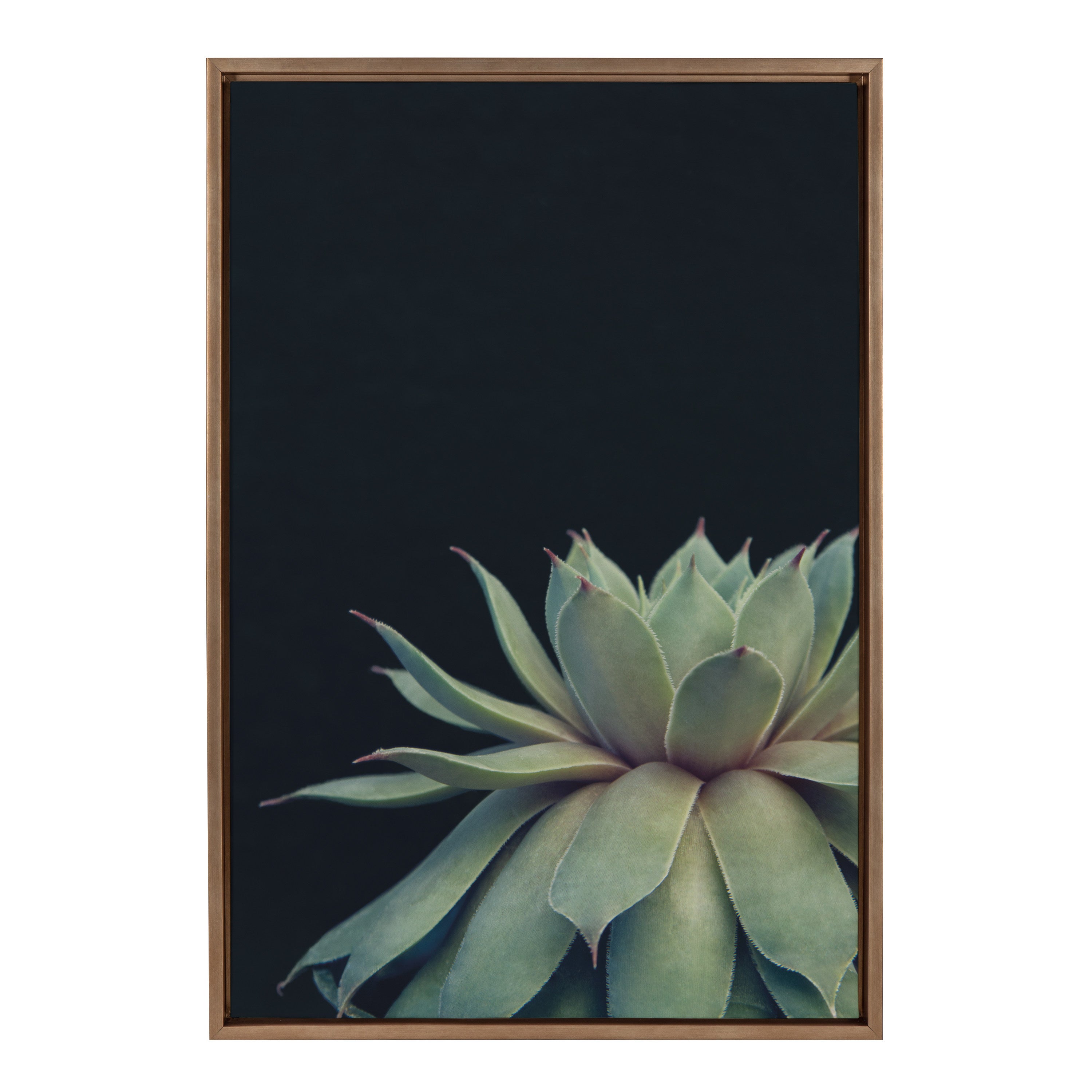Sylvie Succulent Framed Canvas by F2 Images