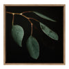 Sylvie Eucalyptus Leaves Framed Canvas by Alicia Abla