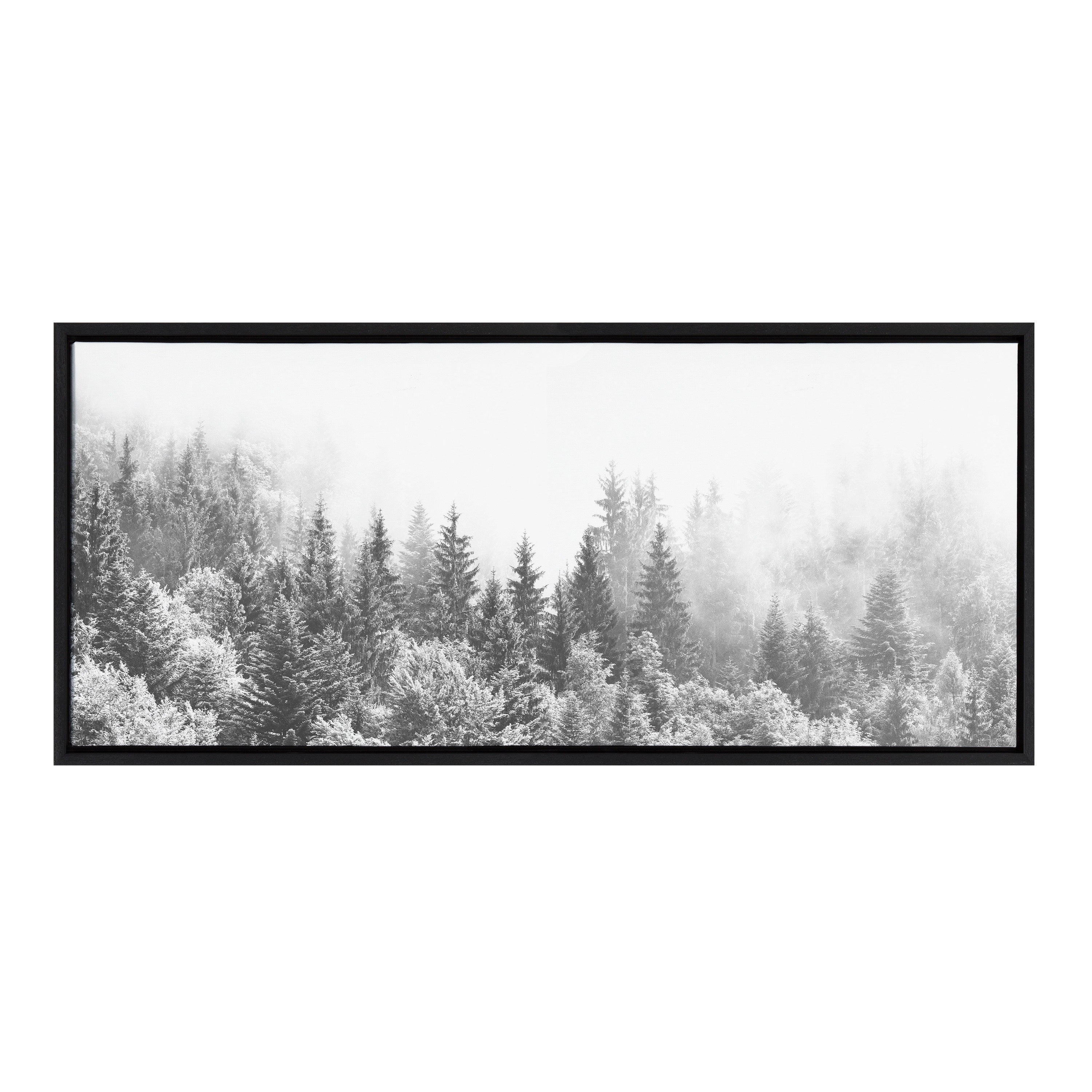 Sylvie Forest On A Foggy Day BW Framed Canvas by The Creative Bunch Studio